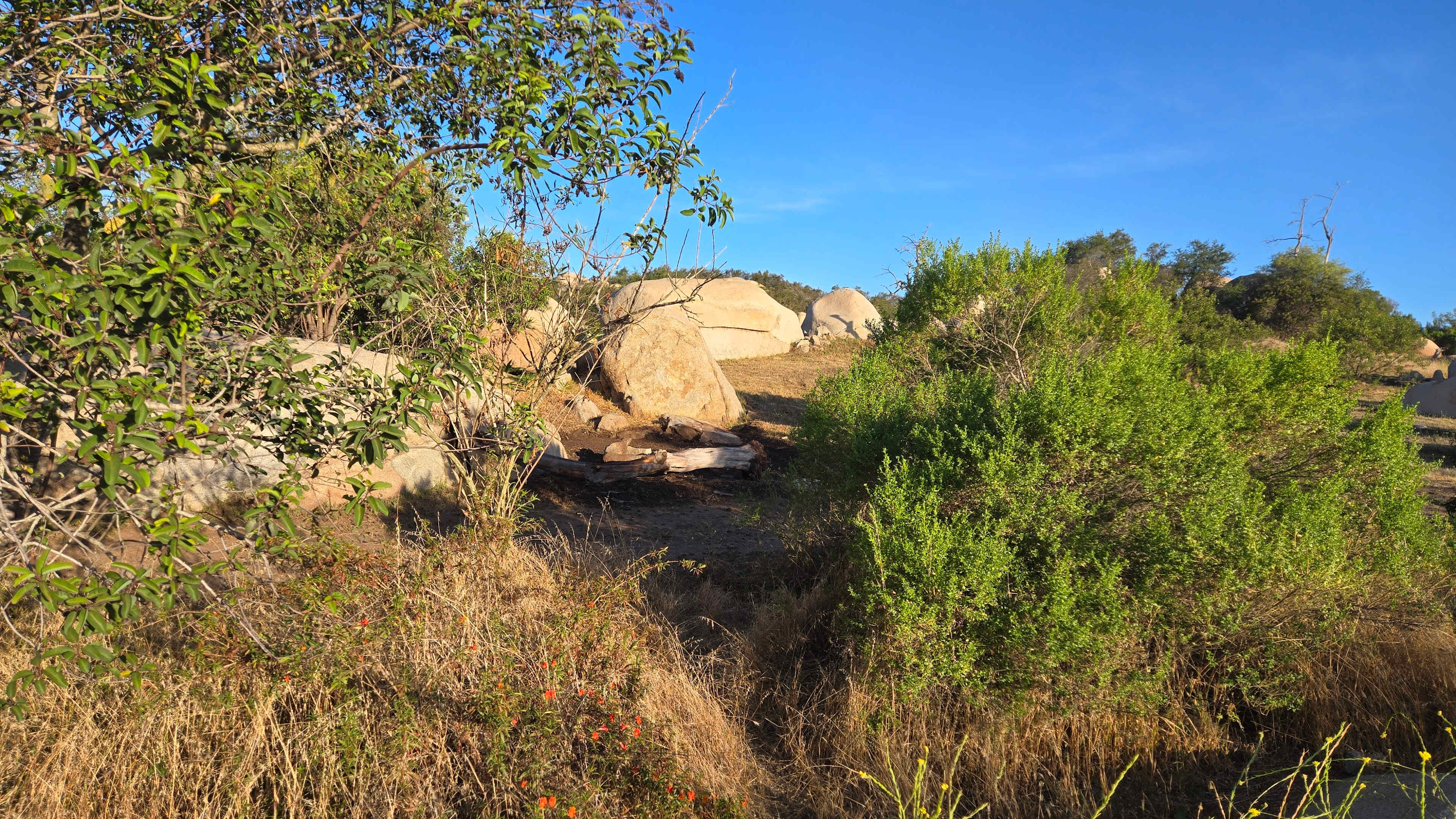 Picture of the site