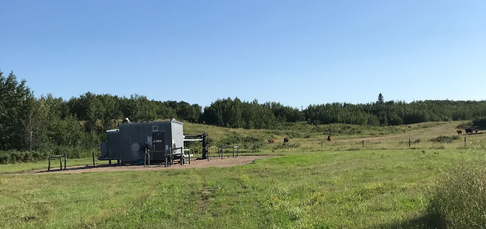 Picture of the site