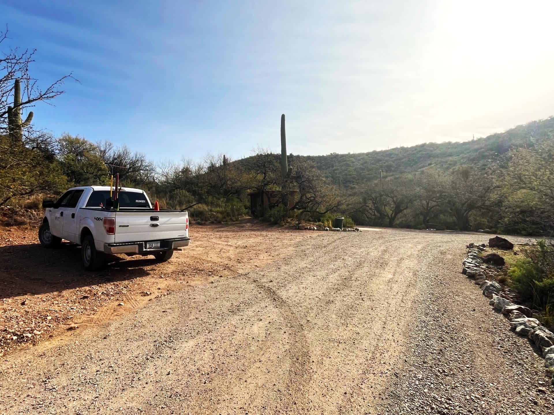 Picture of the site
