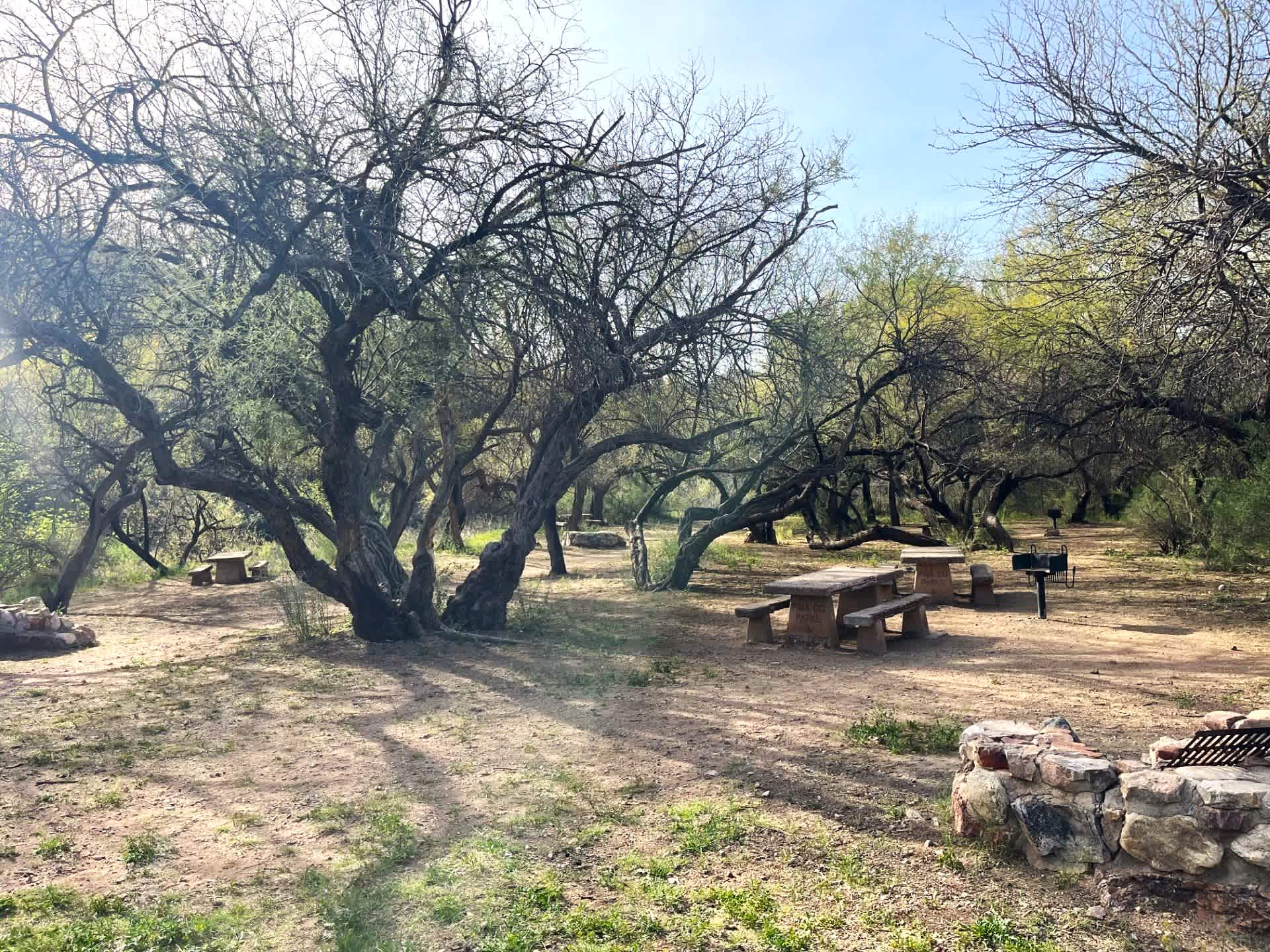 Picture of the site