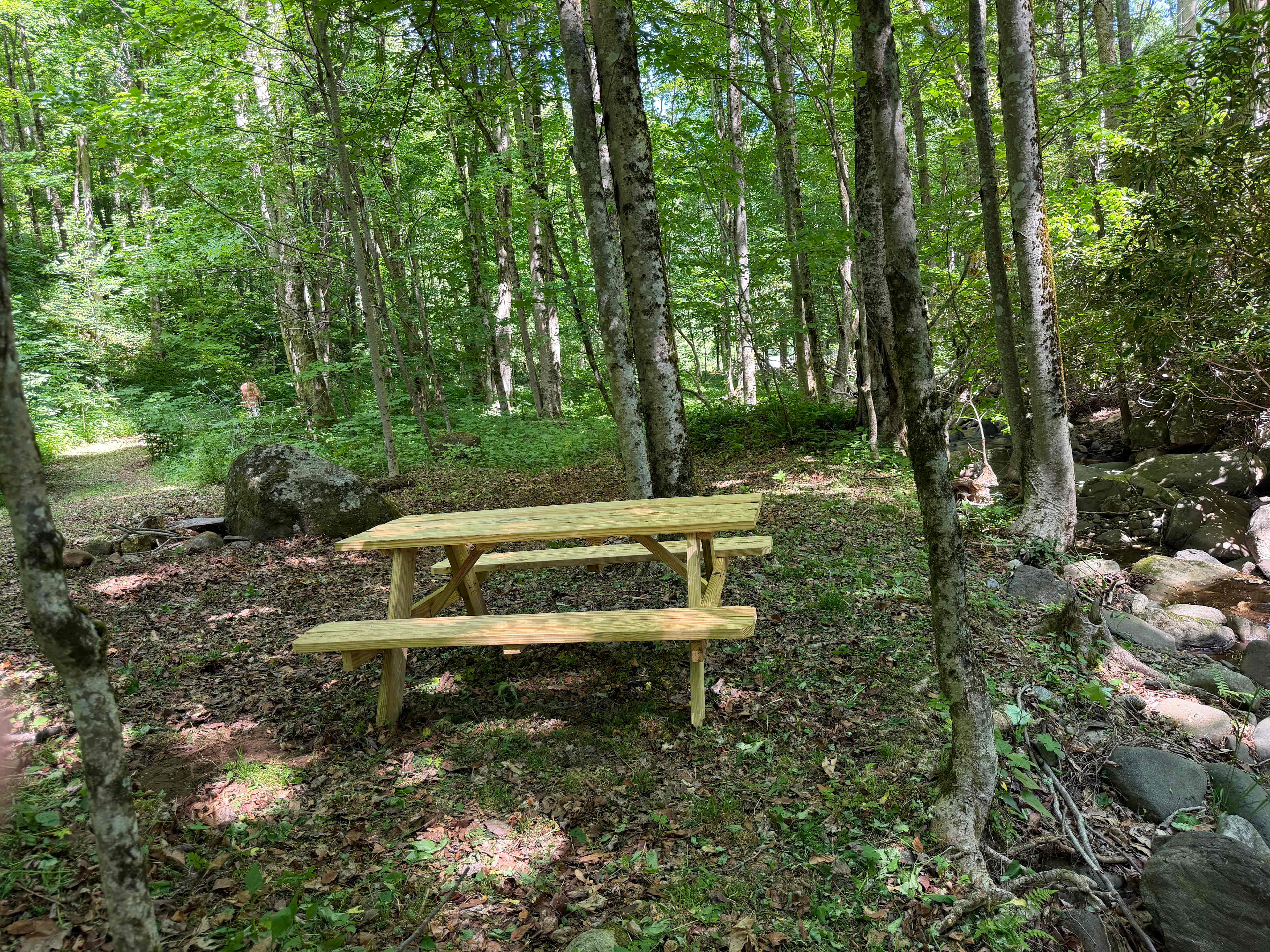 Picture of the site
