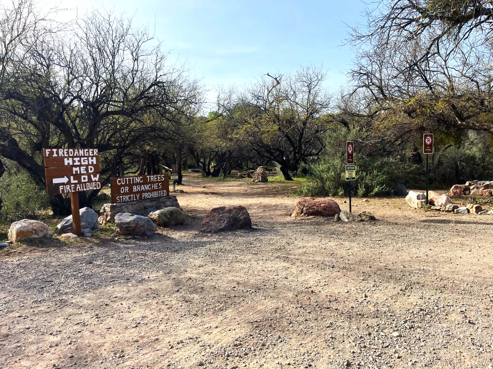 Picture of the site
