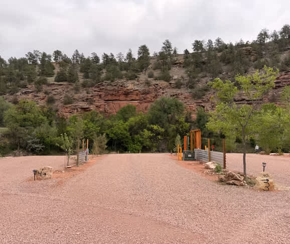 Picture of the site