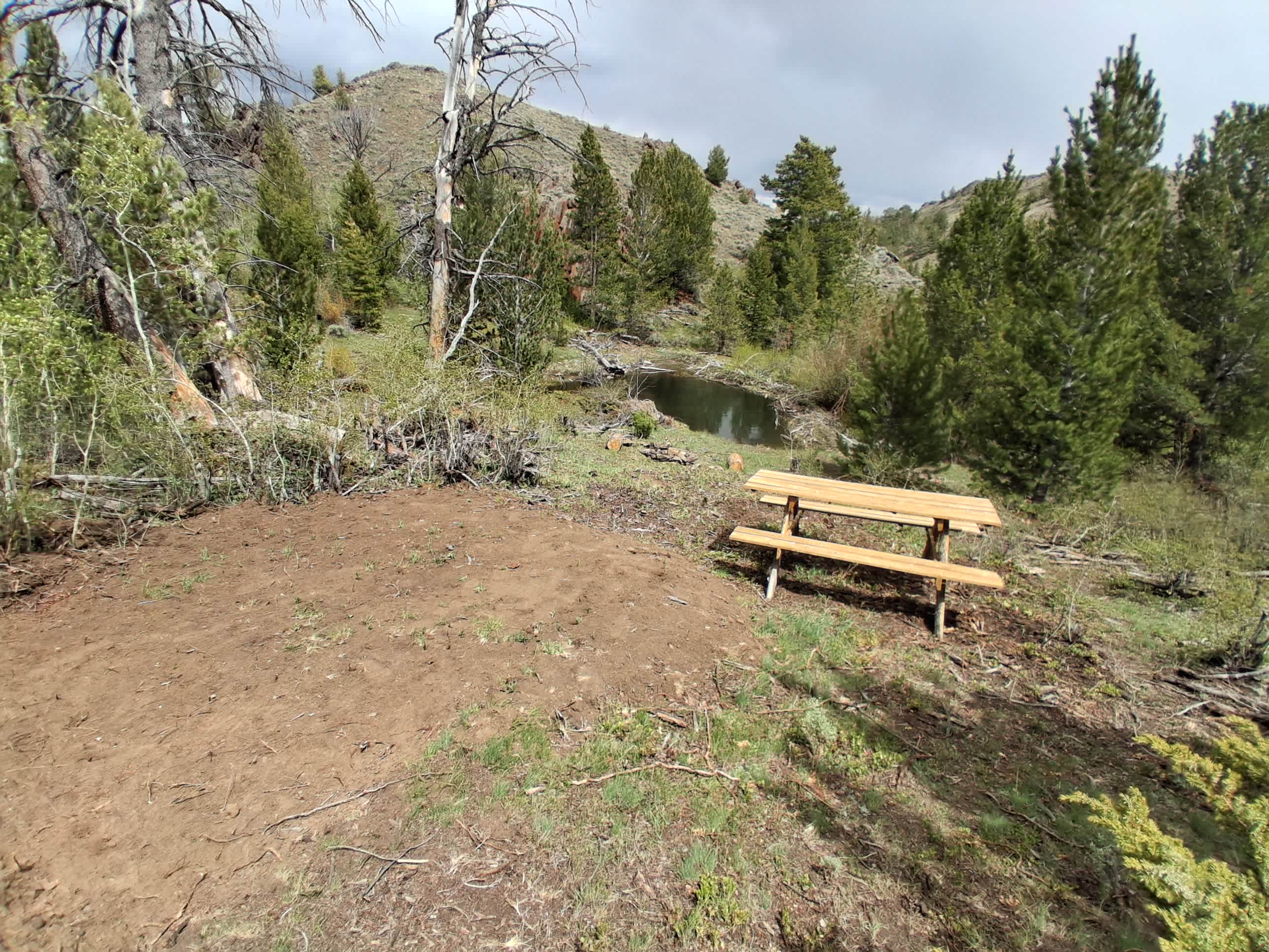 Picture of the site