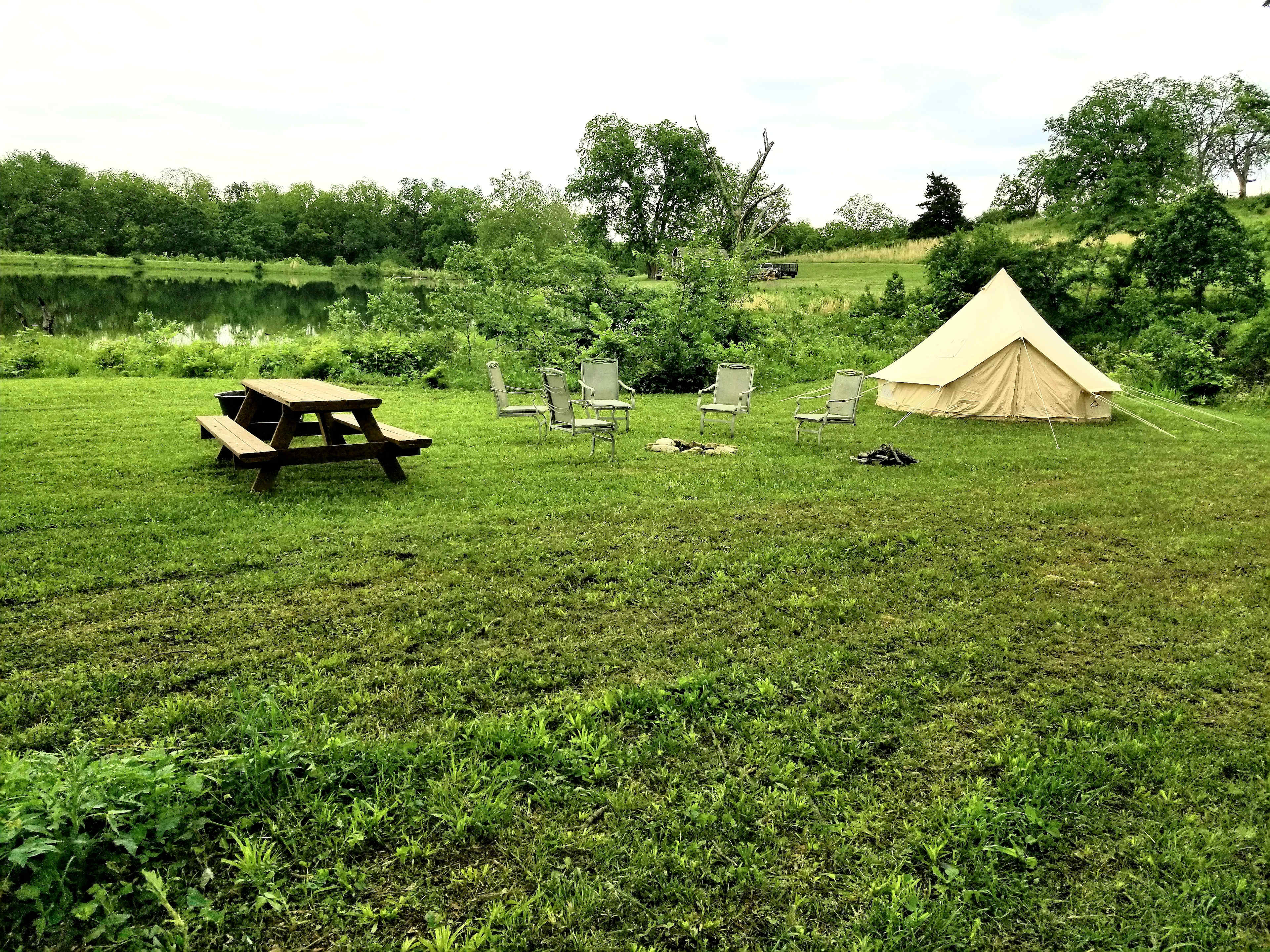 Picture of the site