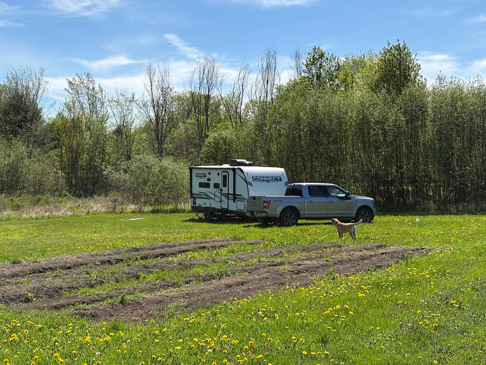 Picture of the site