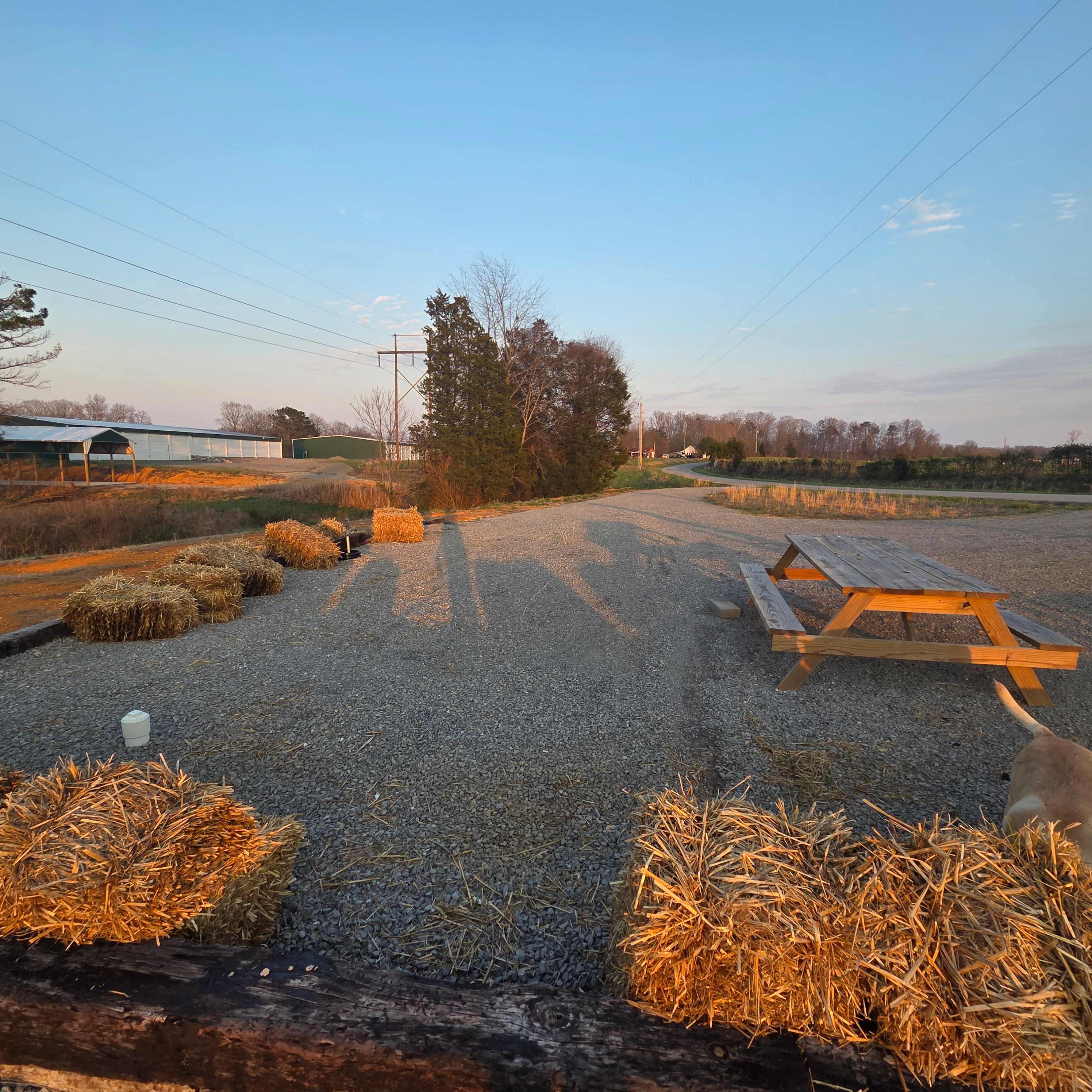 Picture of the site