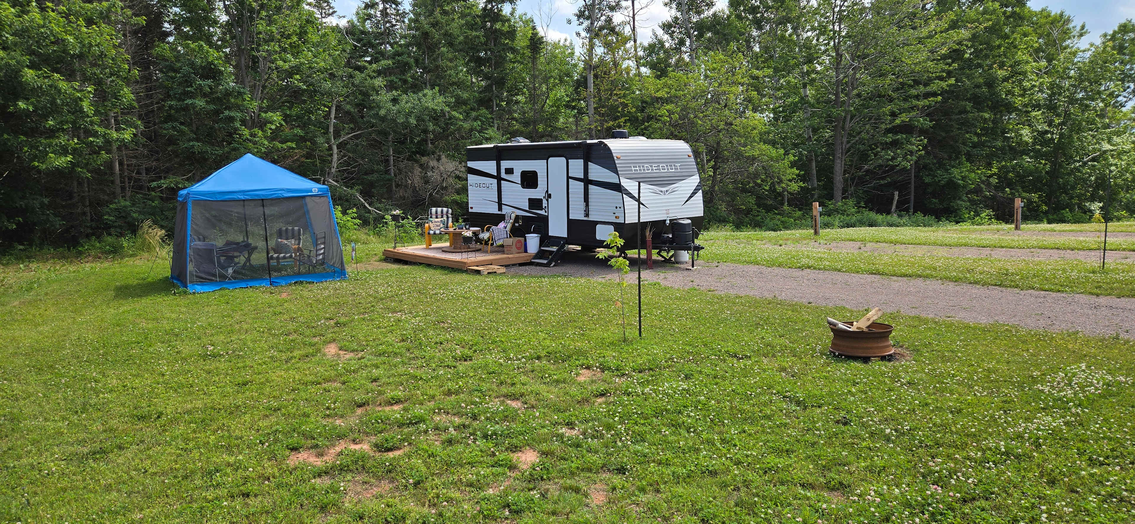 Picture of the site