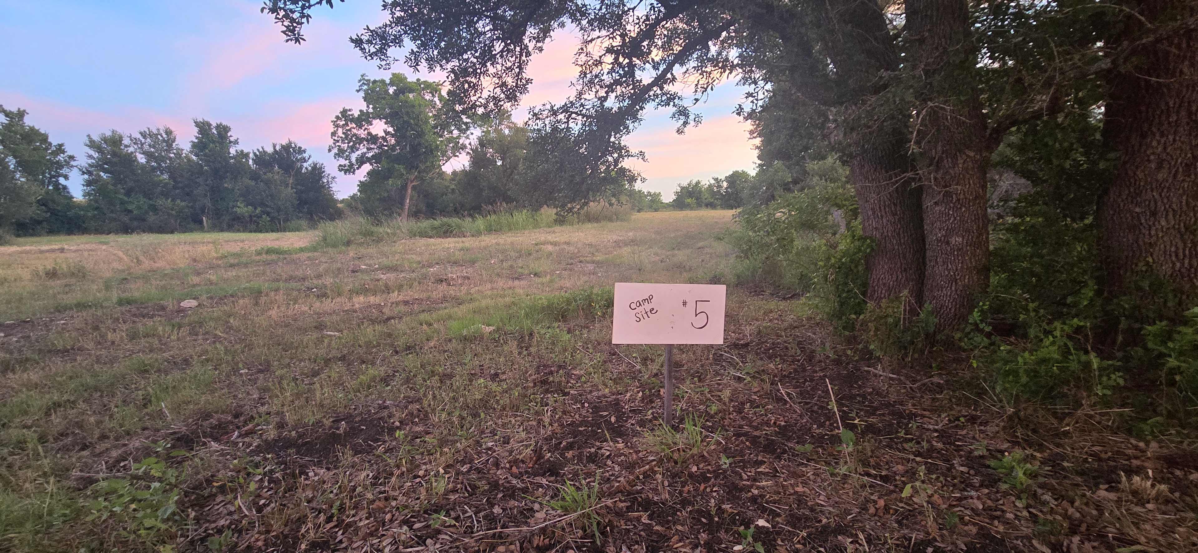Picture of the site