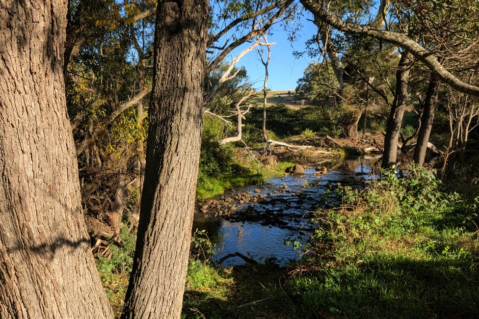 Picture of the site