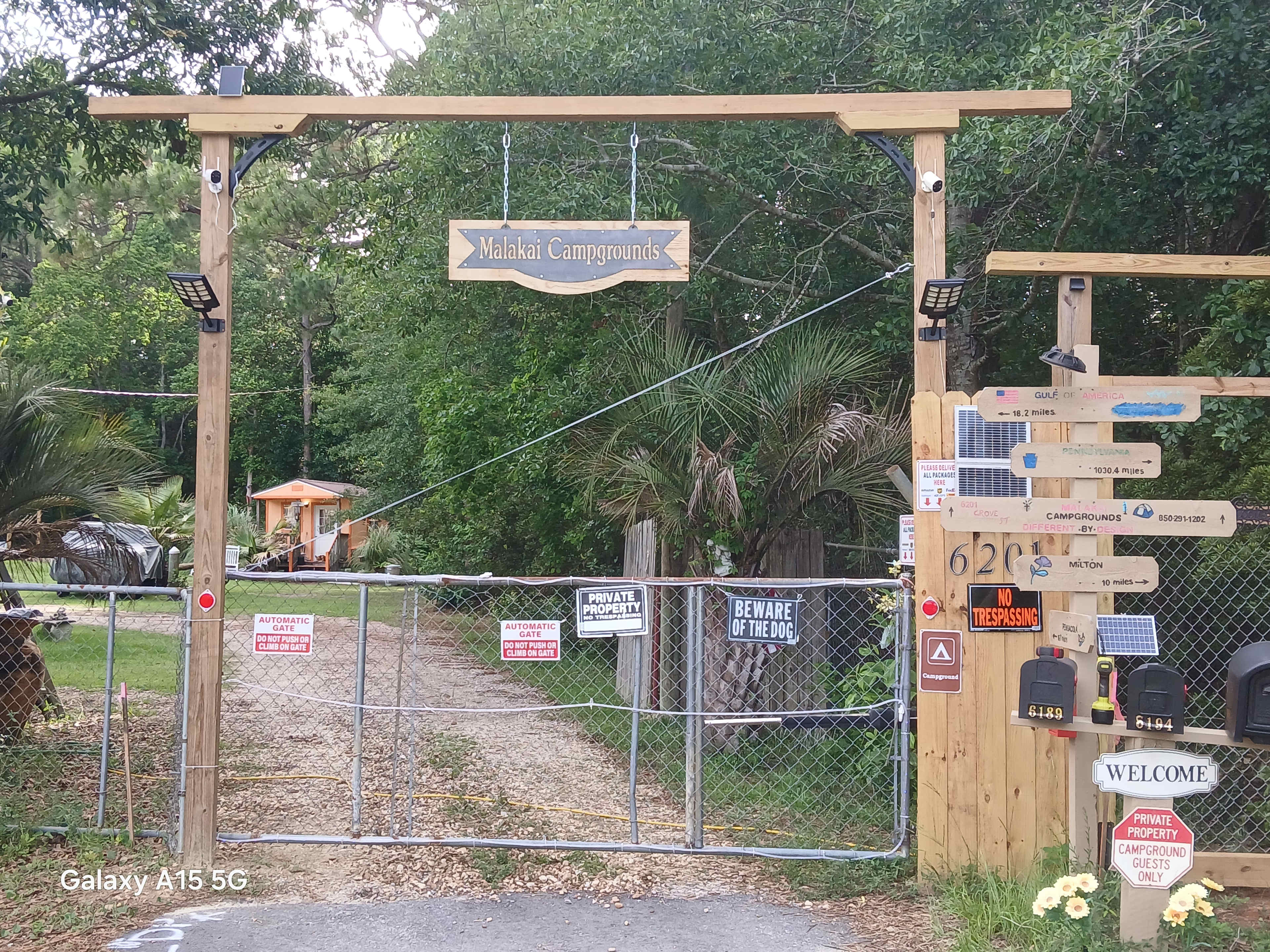 Picture of the site