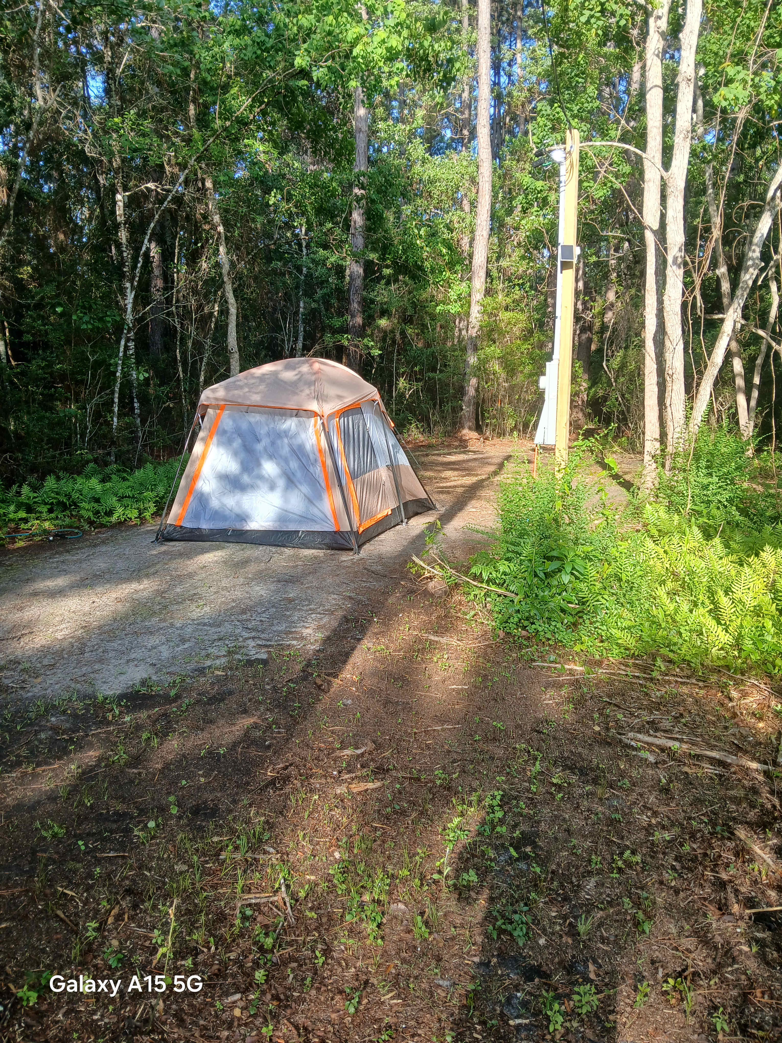 Picture of the site