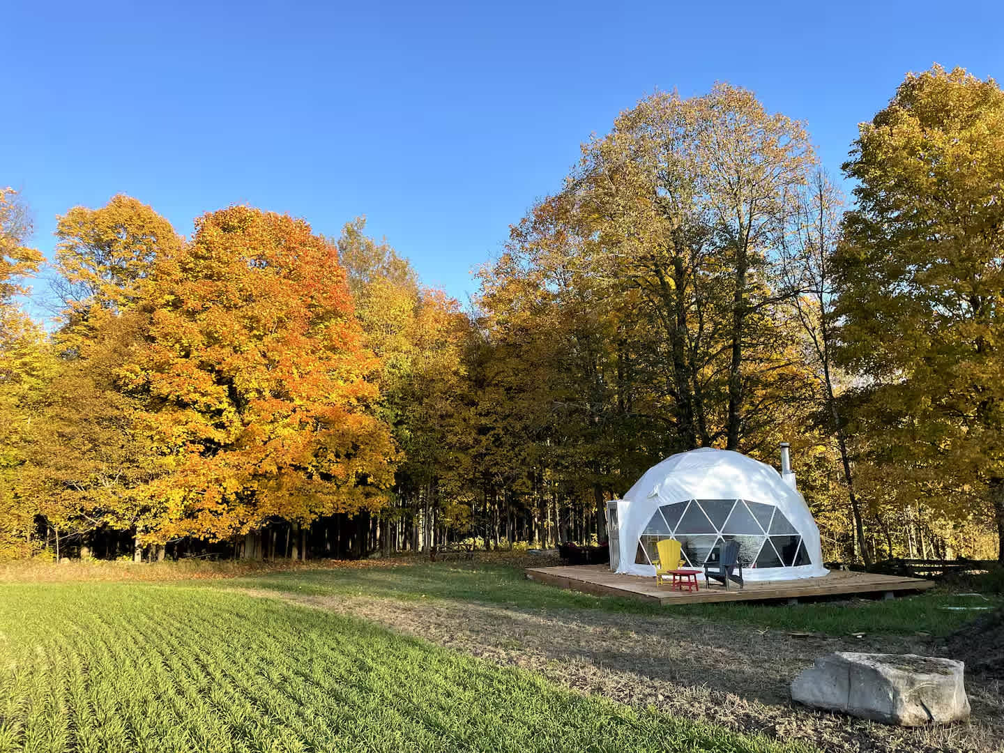 Picture of the site