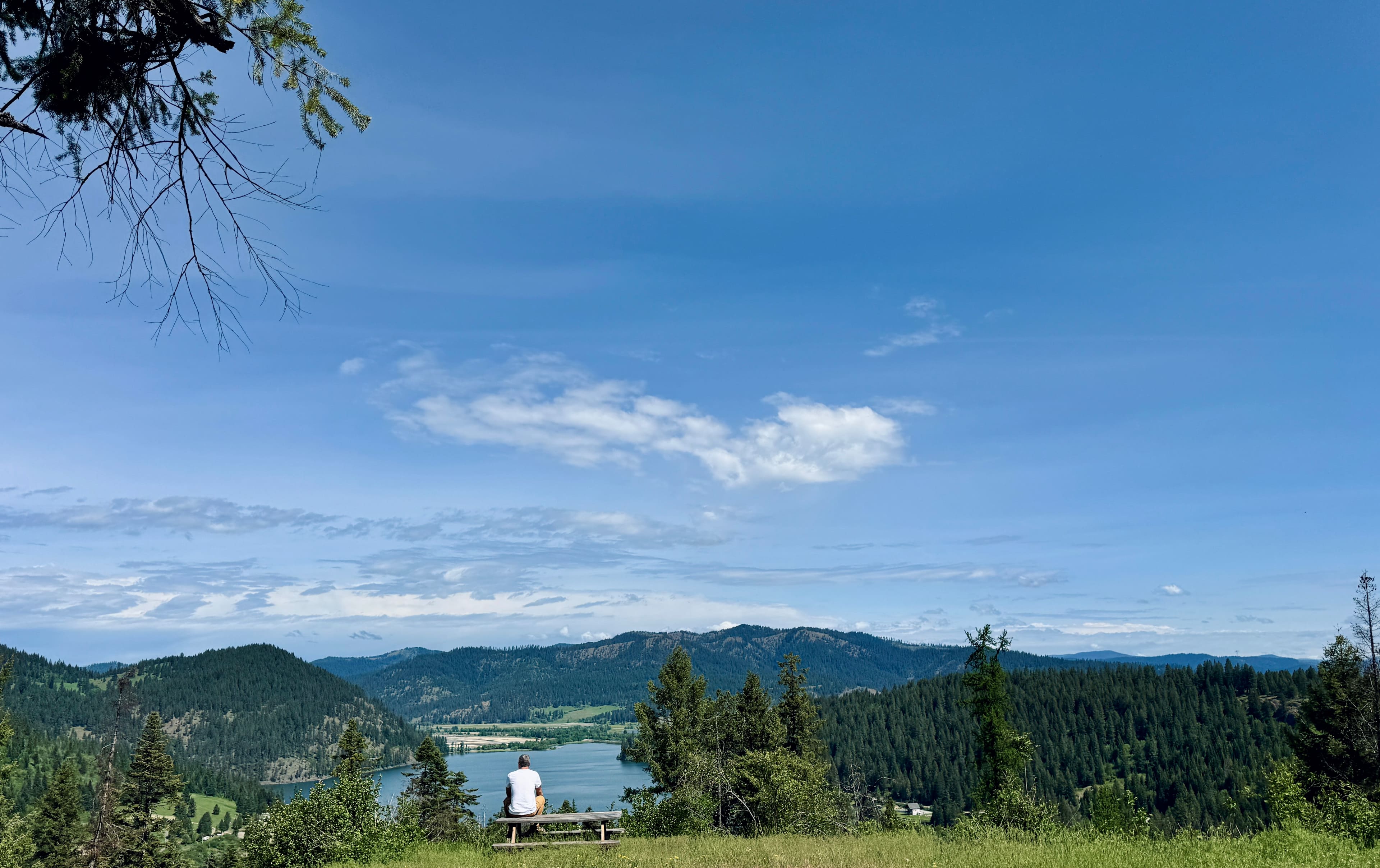 Picture of the site
