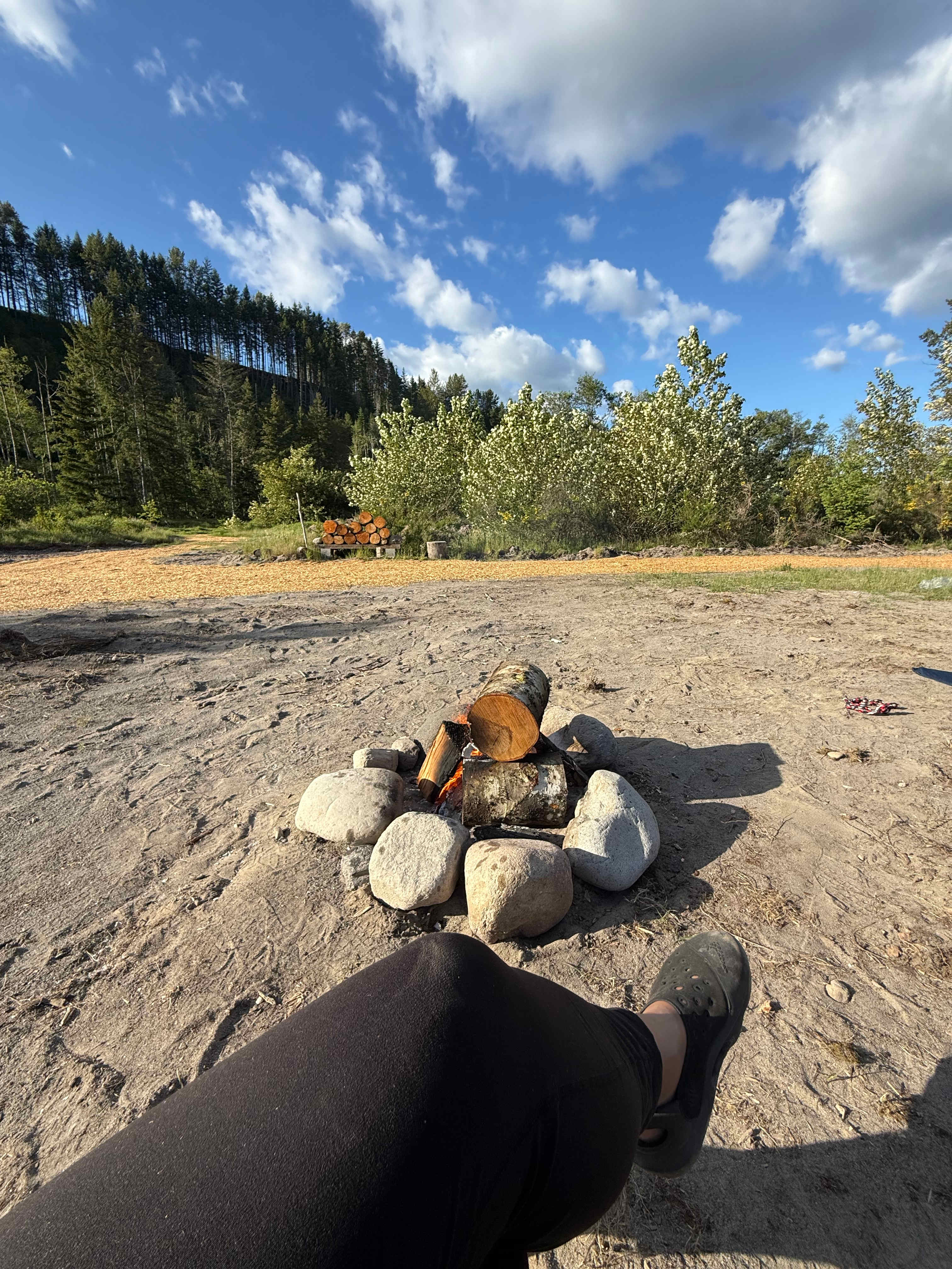 Picture of the site