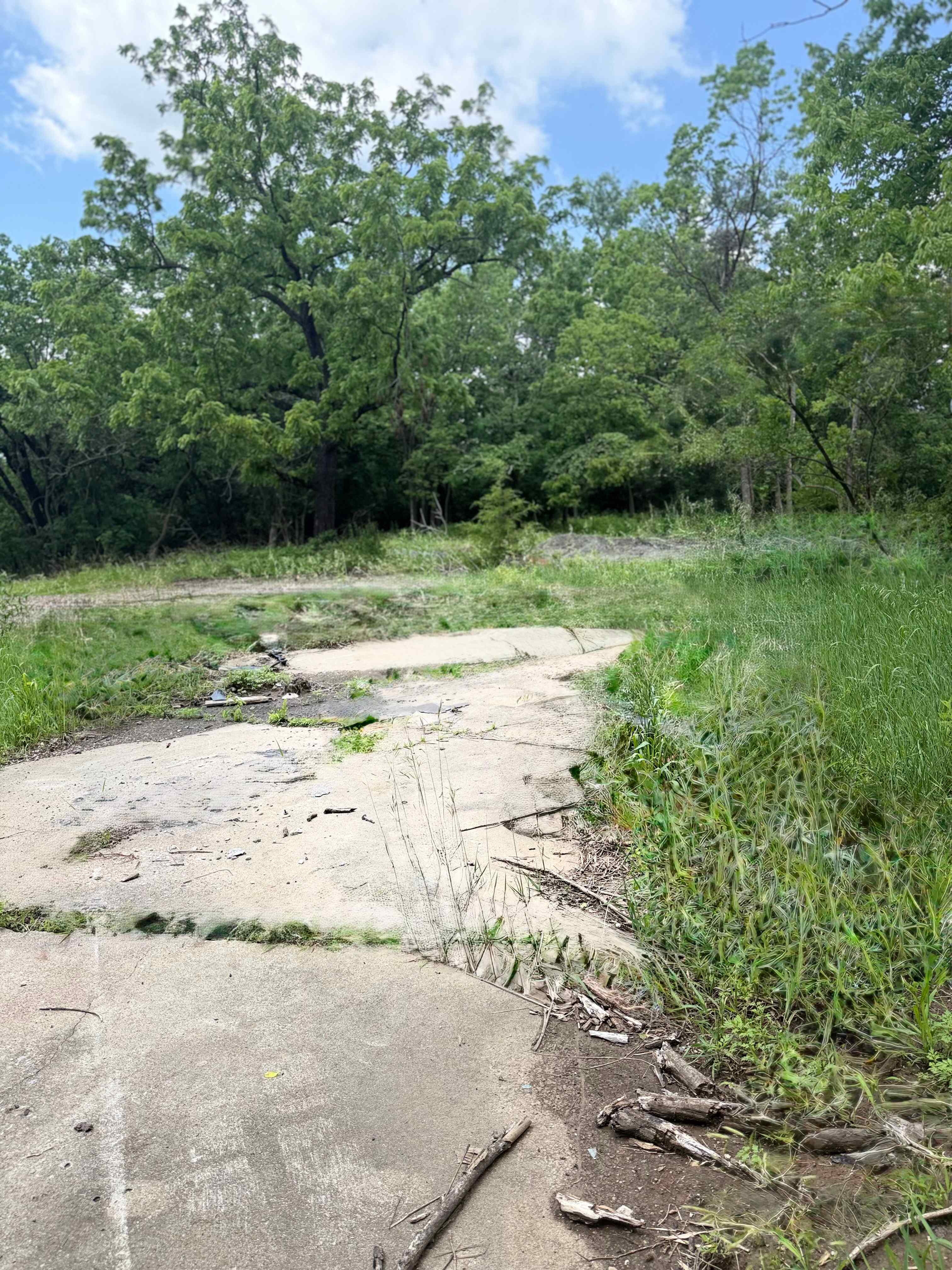 Picture of the site