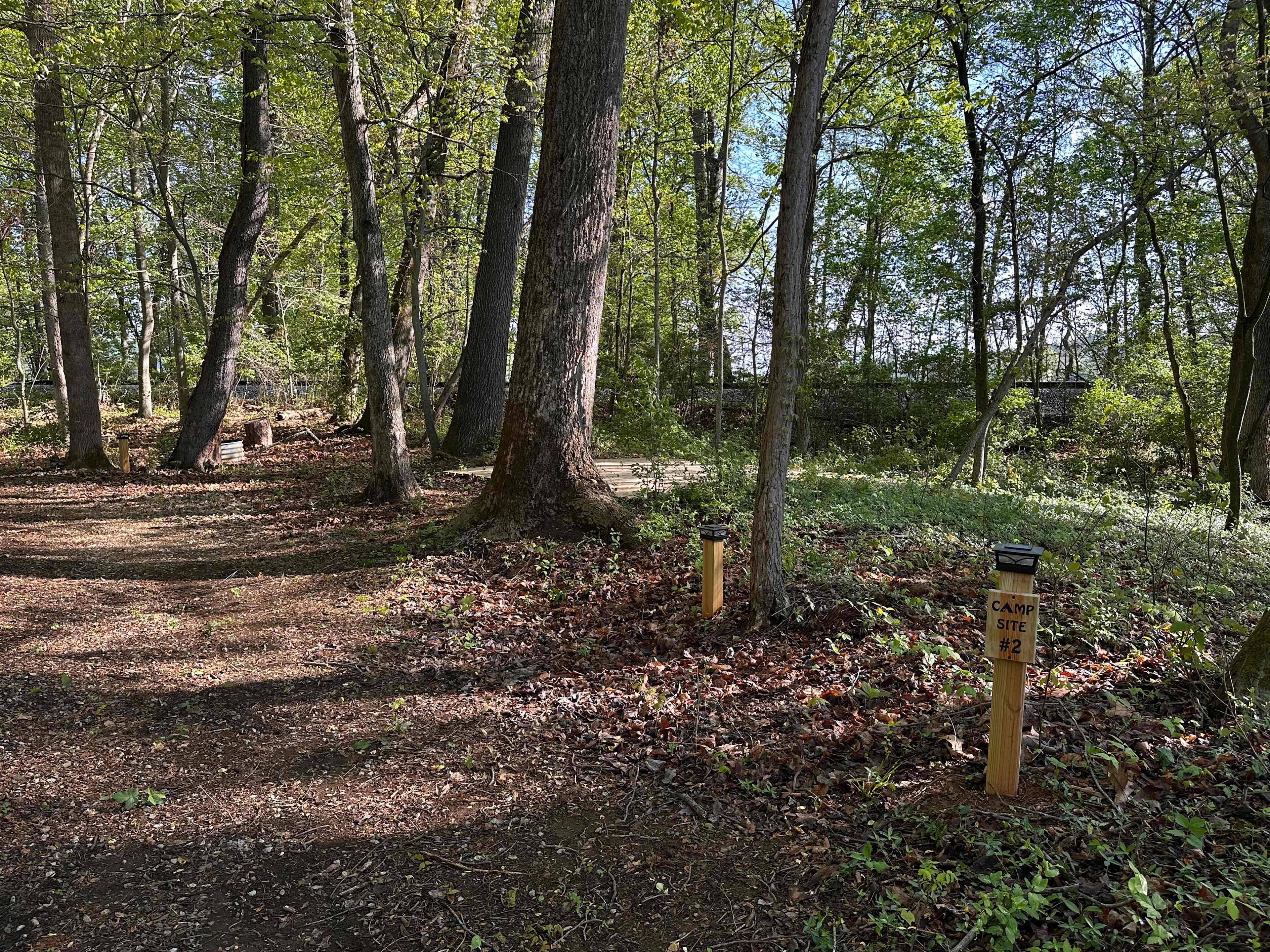 Picture of the site
