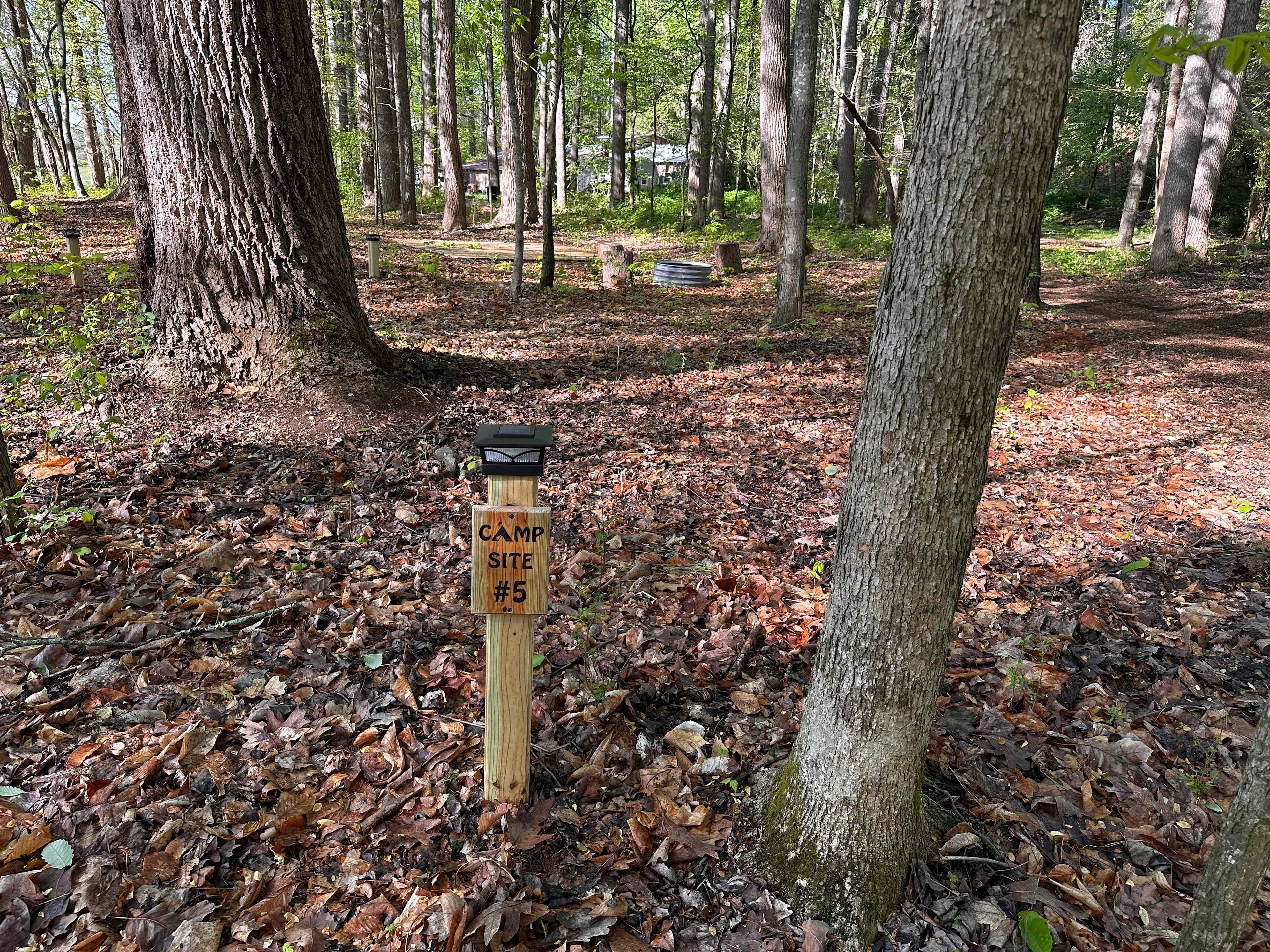 Picture of the site