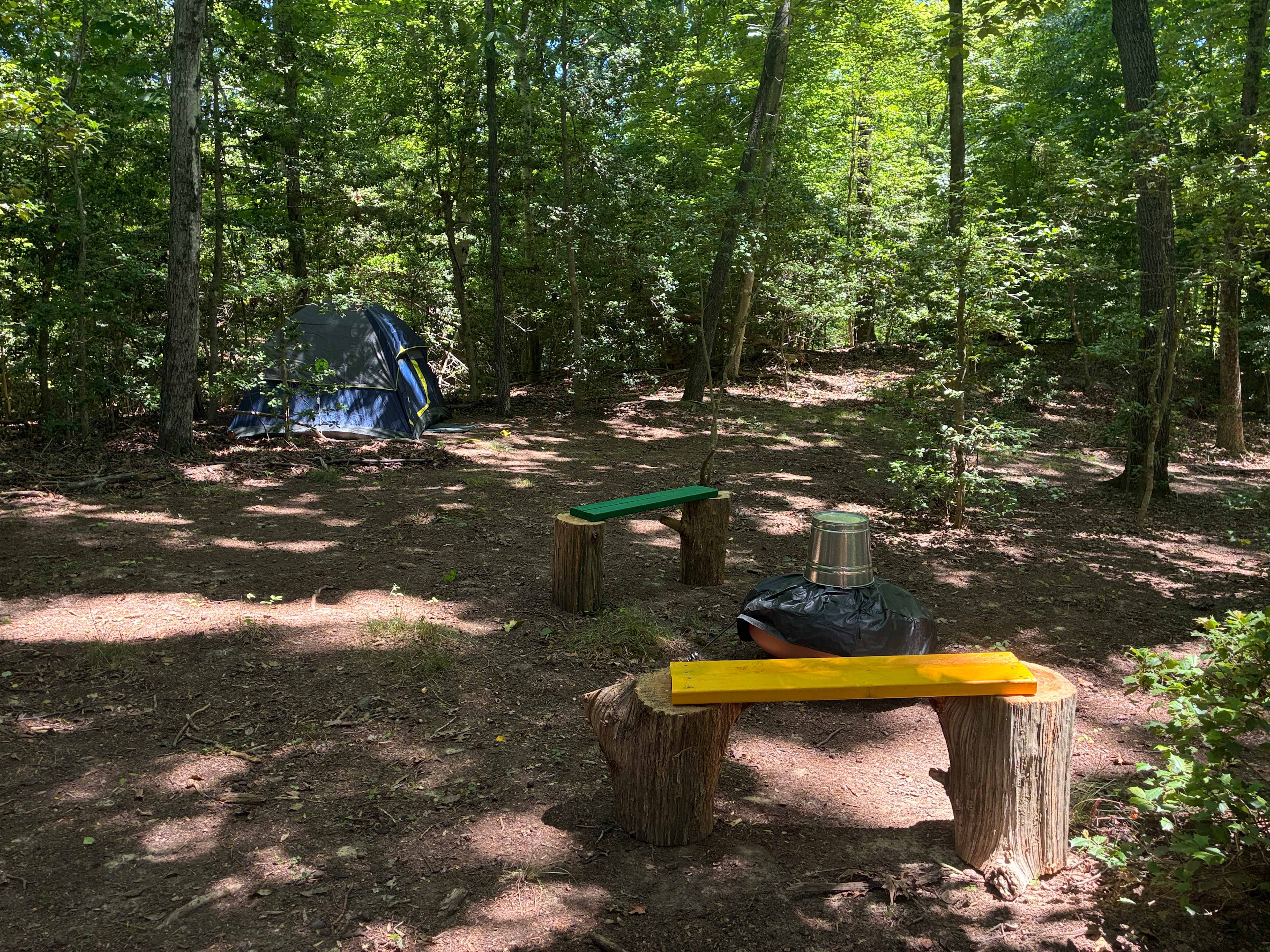 Picture of the site
