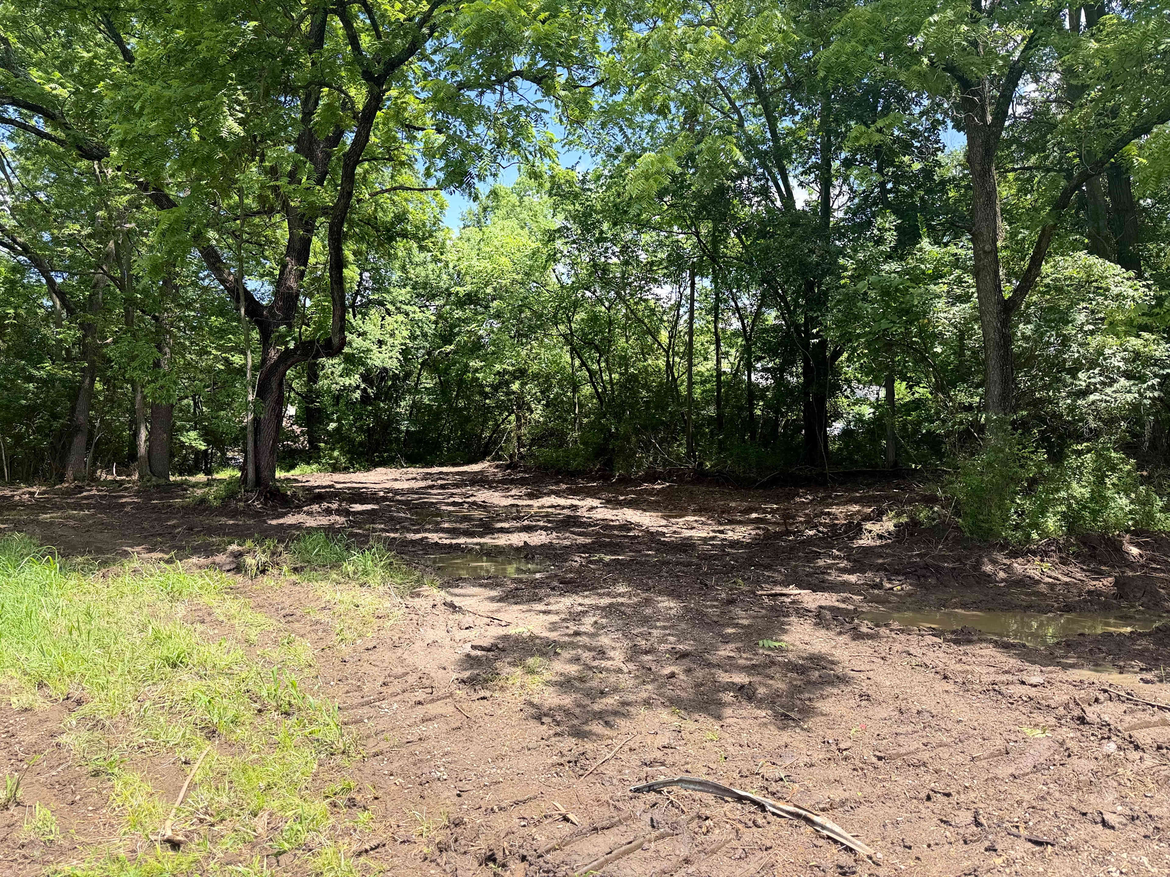 Picture of the site