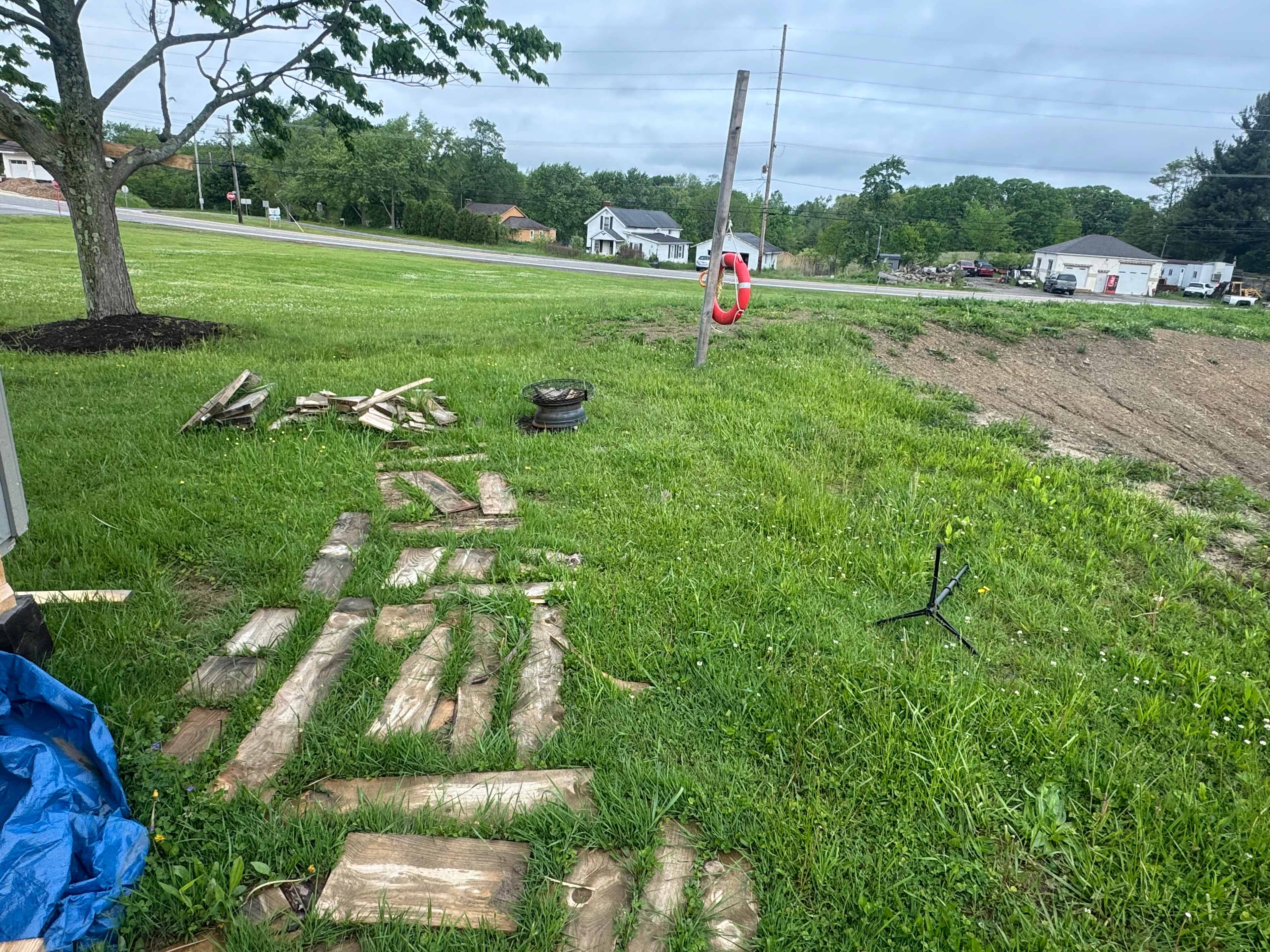 Picture of the site
