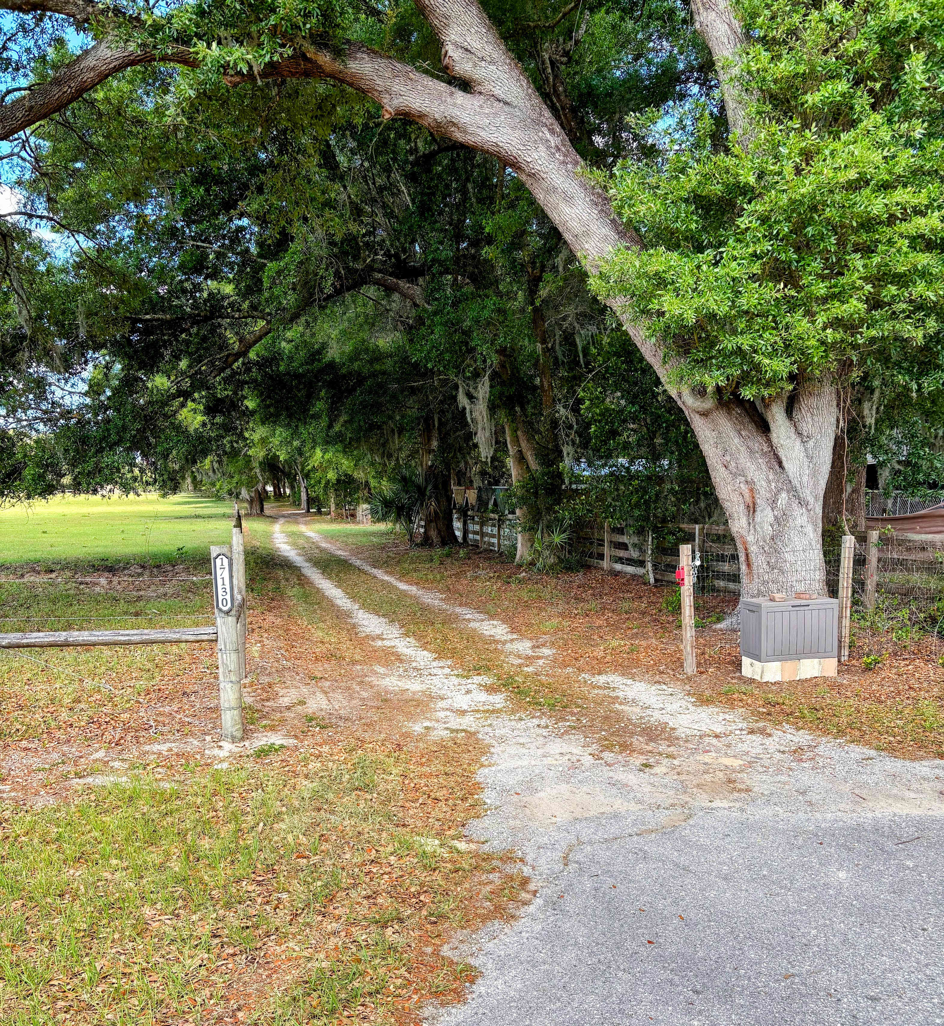 Picture of the site