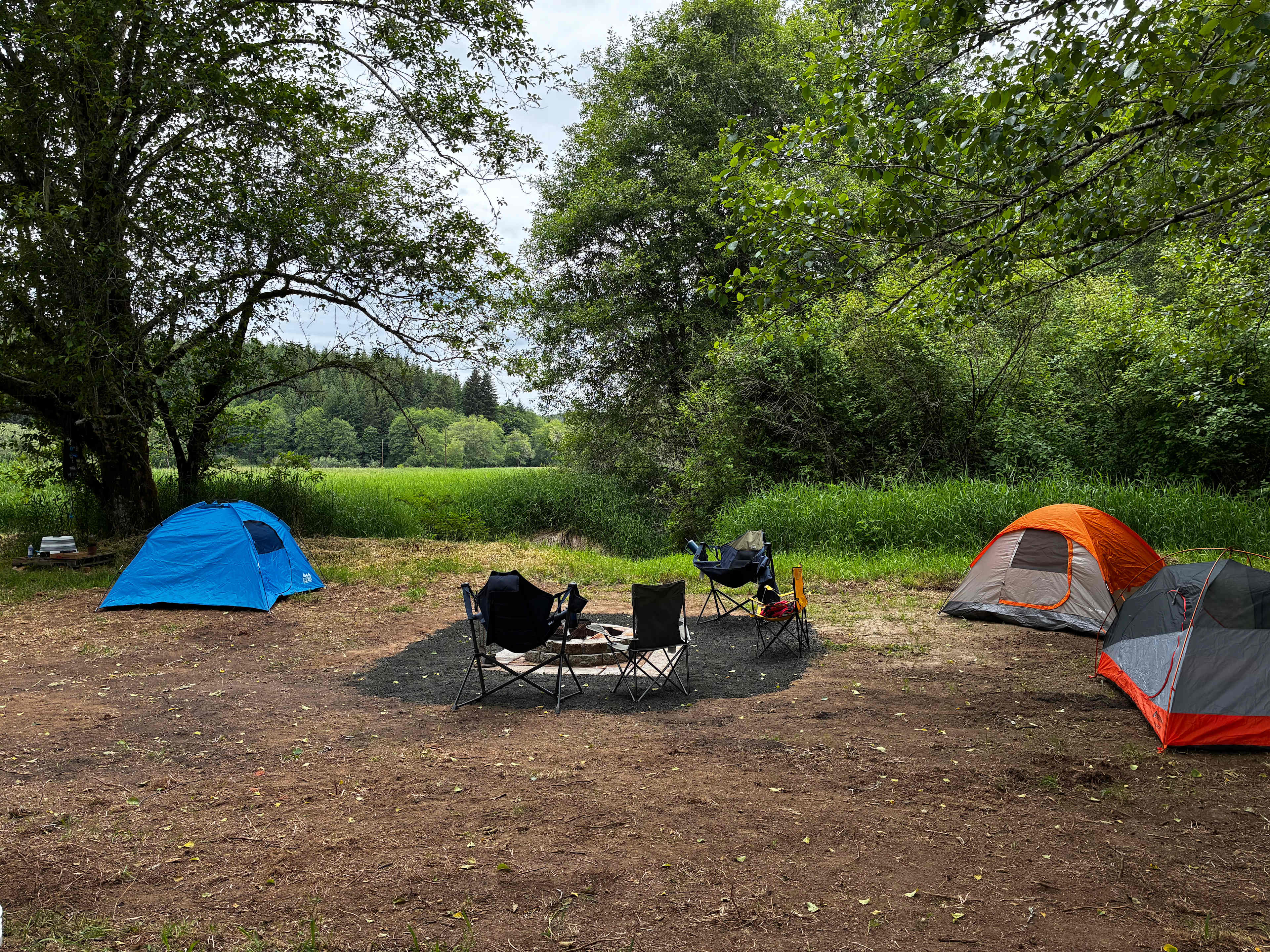 Picture of the site