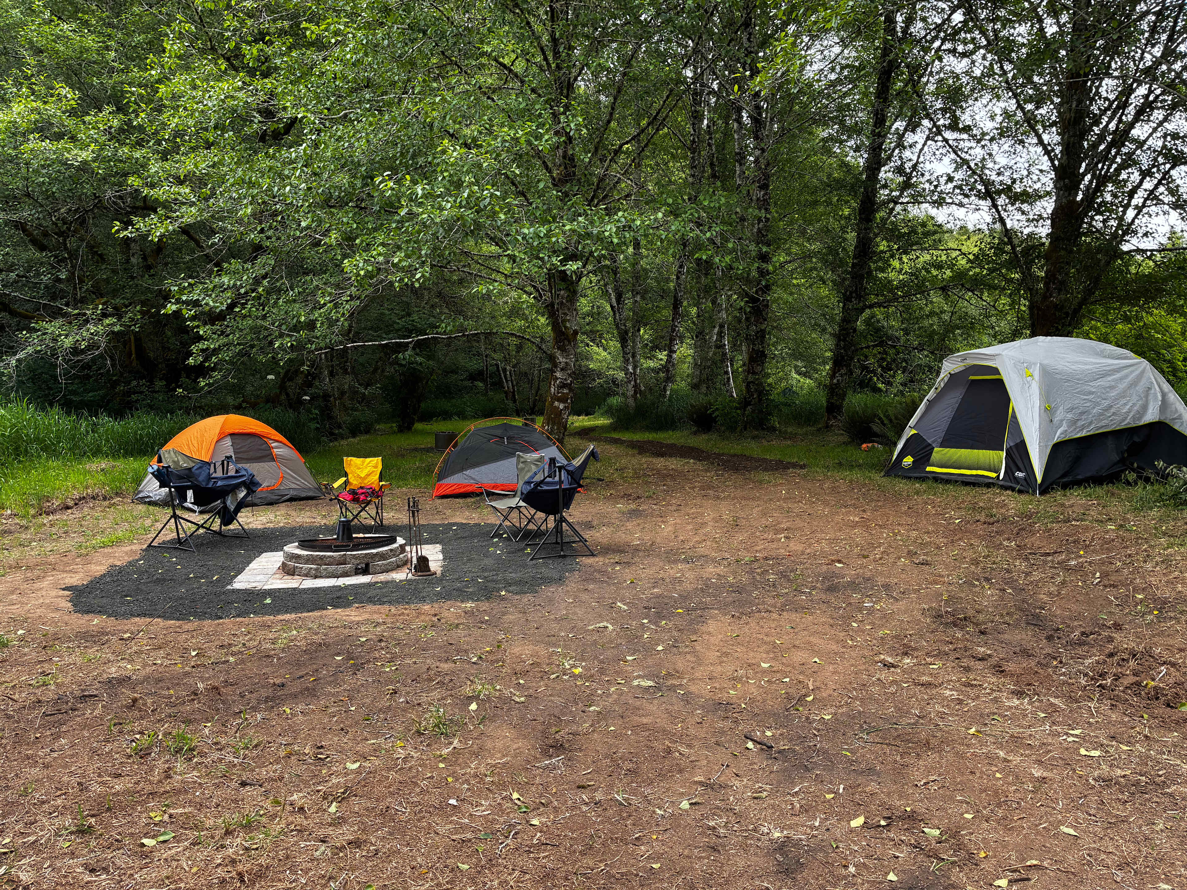 Picture of the site