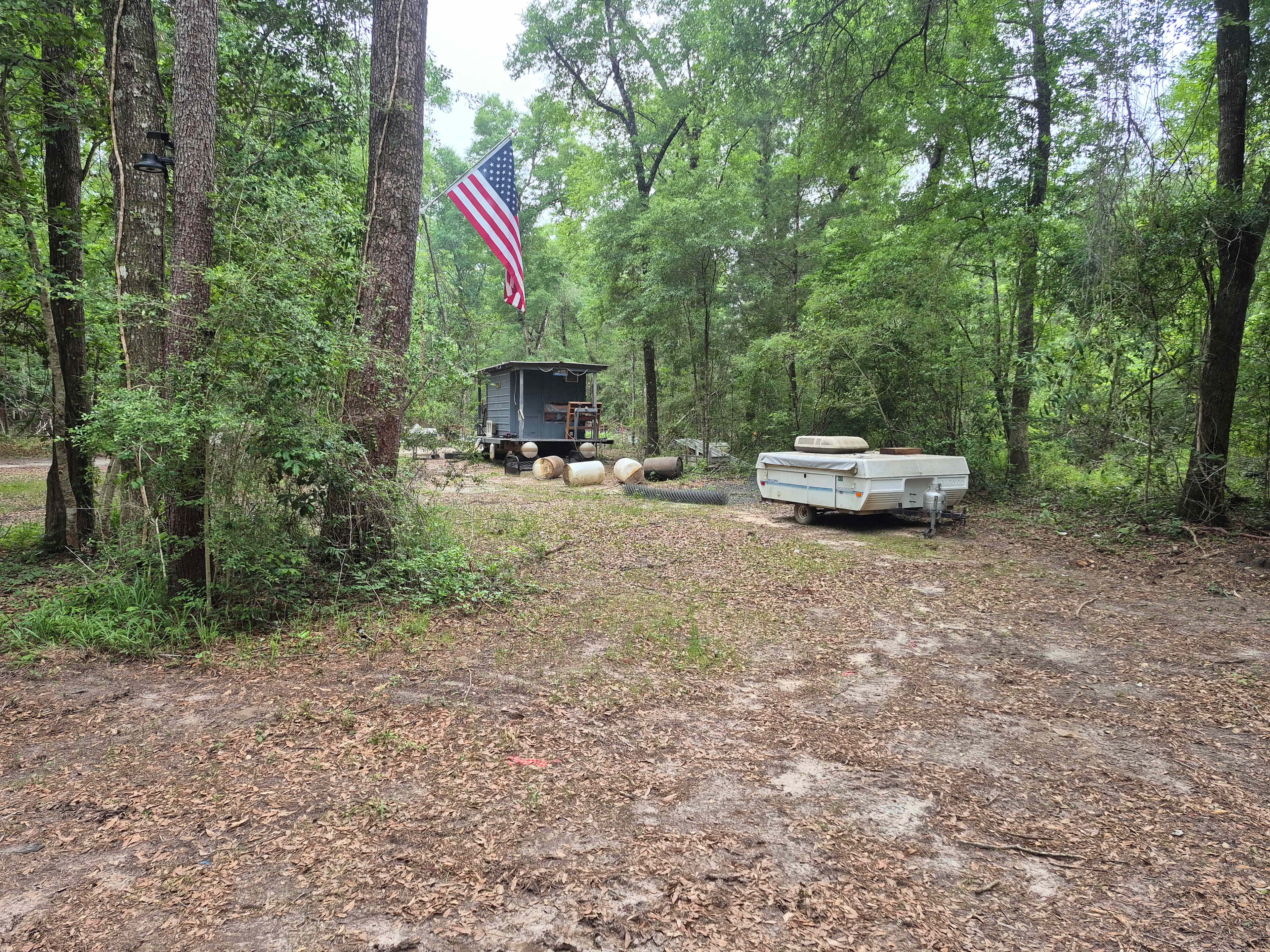 Picture of the site