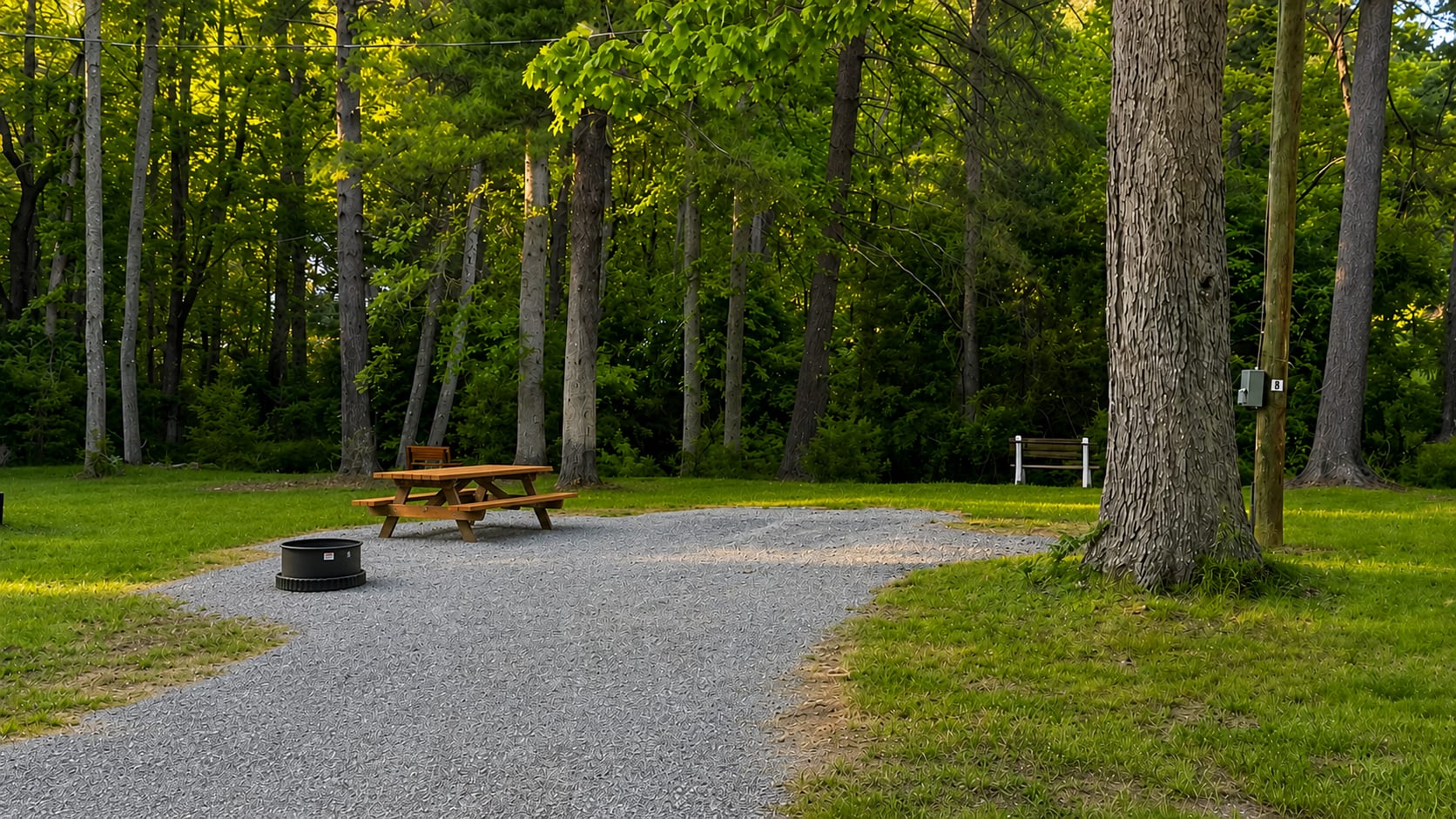 Picture of the site
