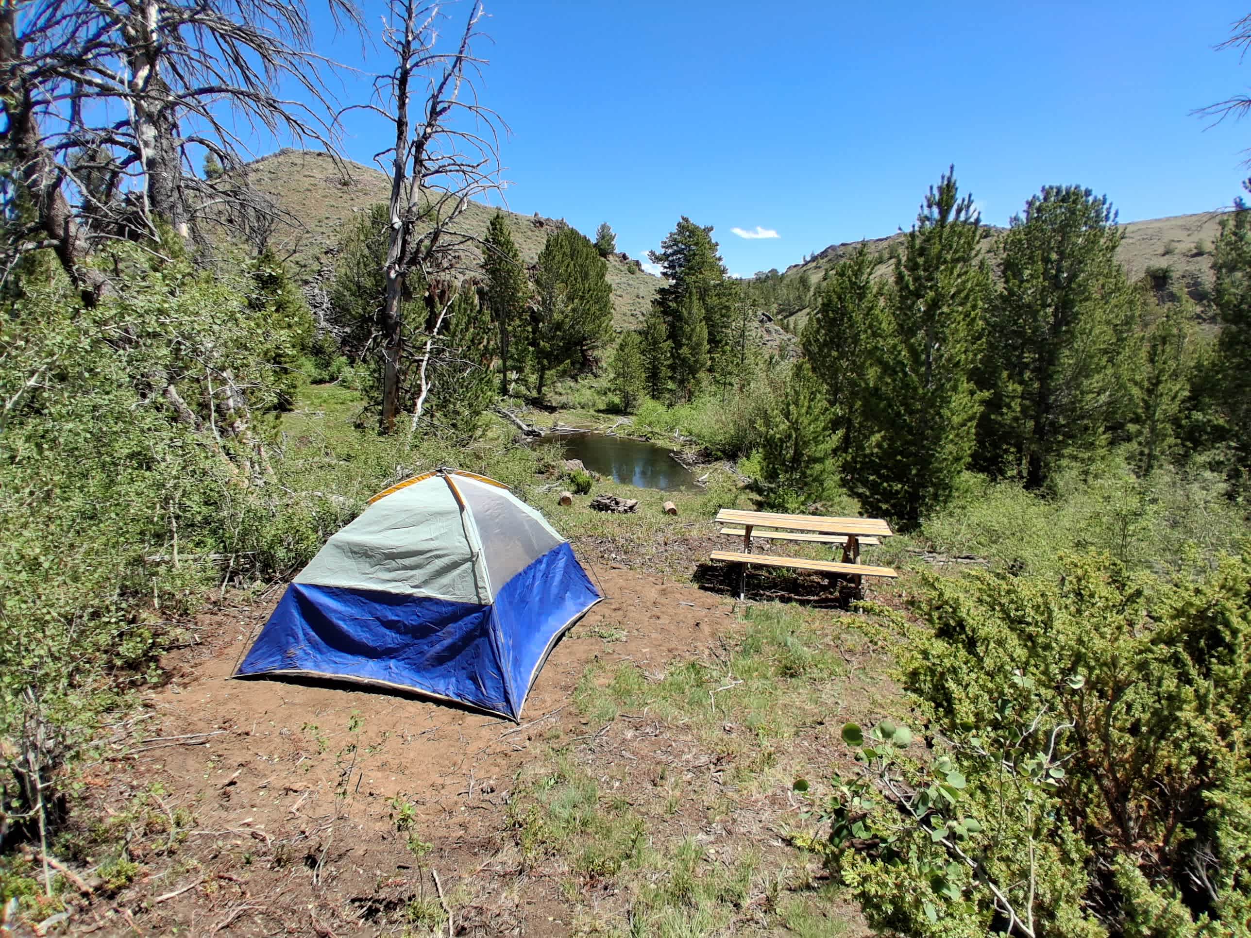 Picture of the site