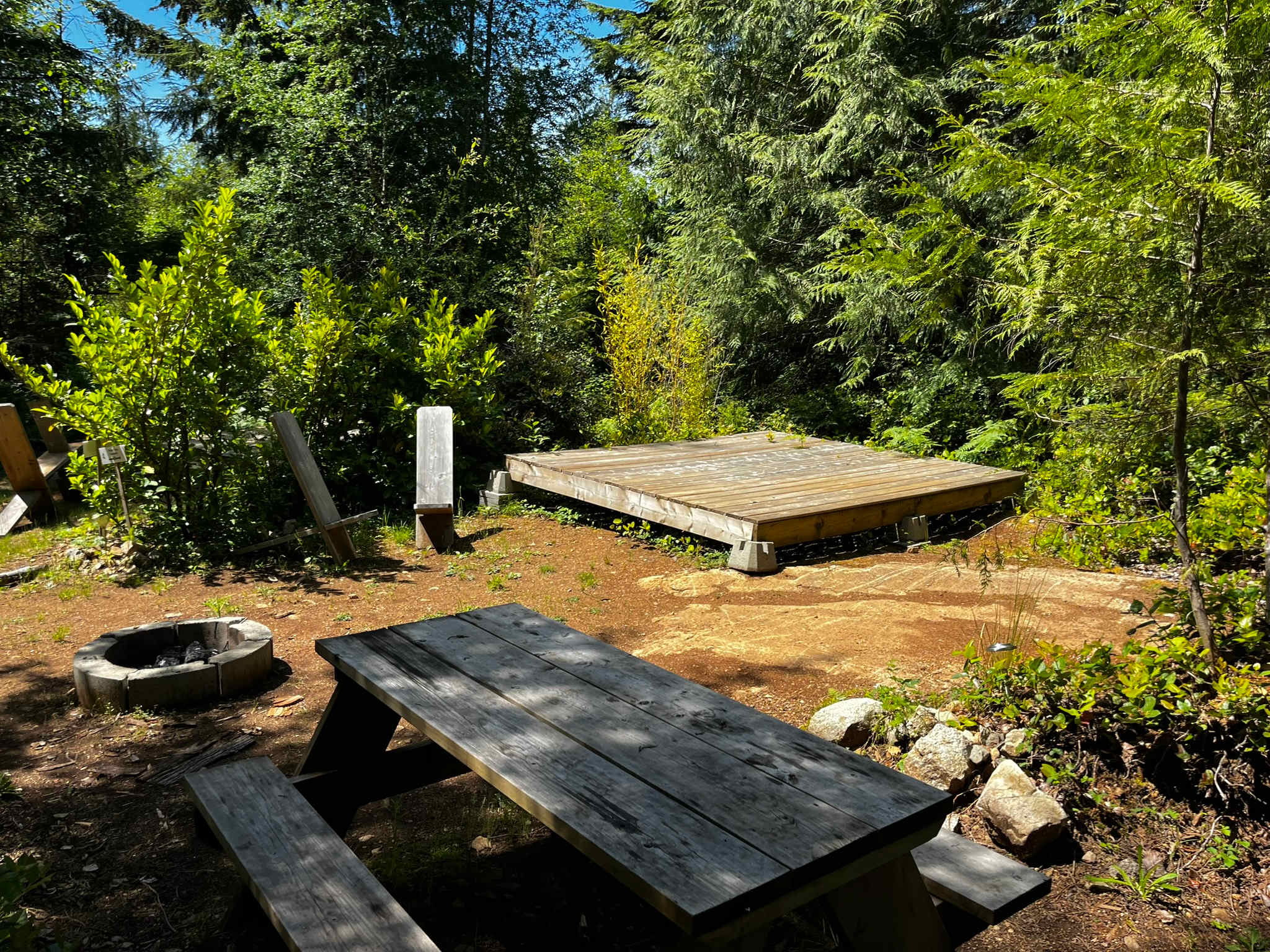 Picture of the site