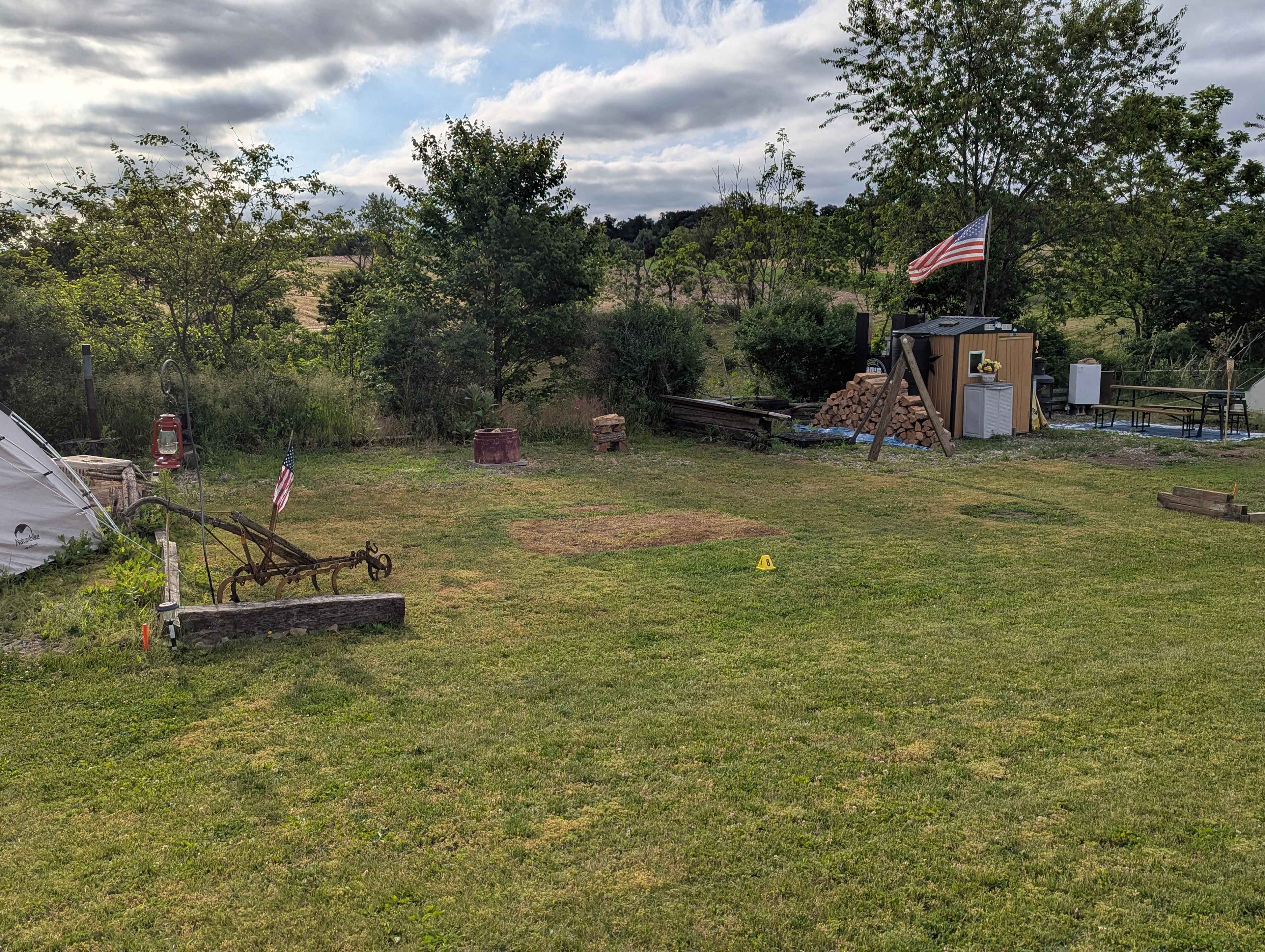 Picture of the site