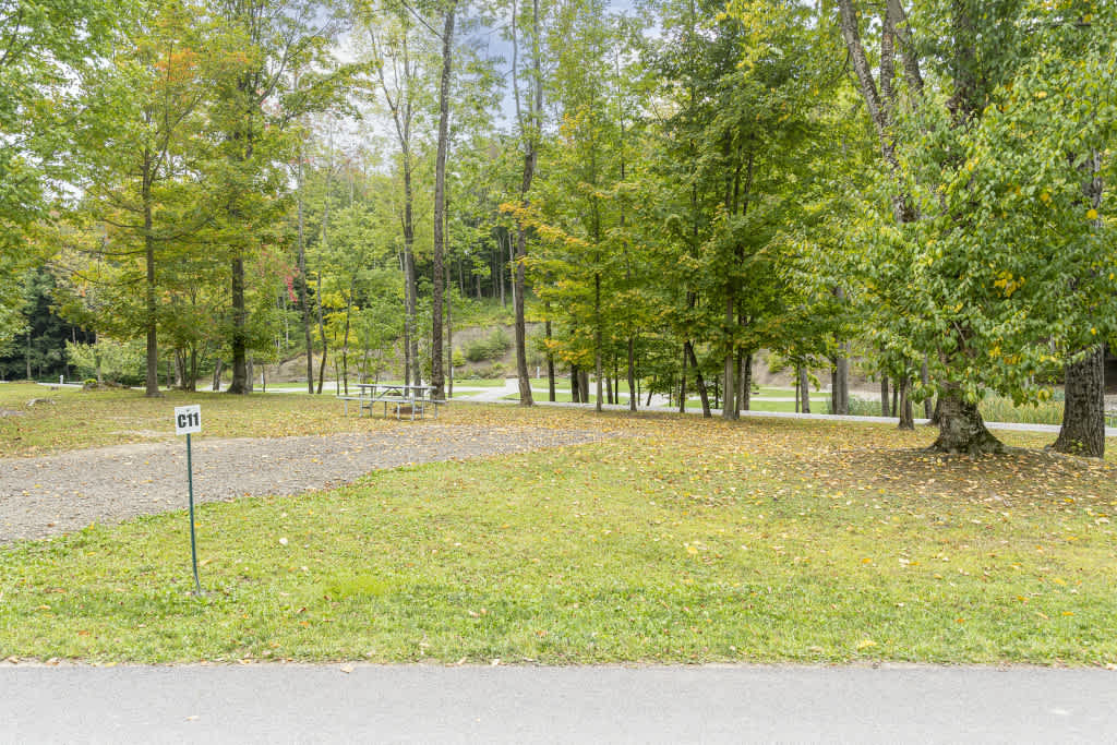 Picture of the site