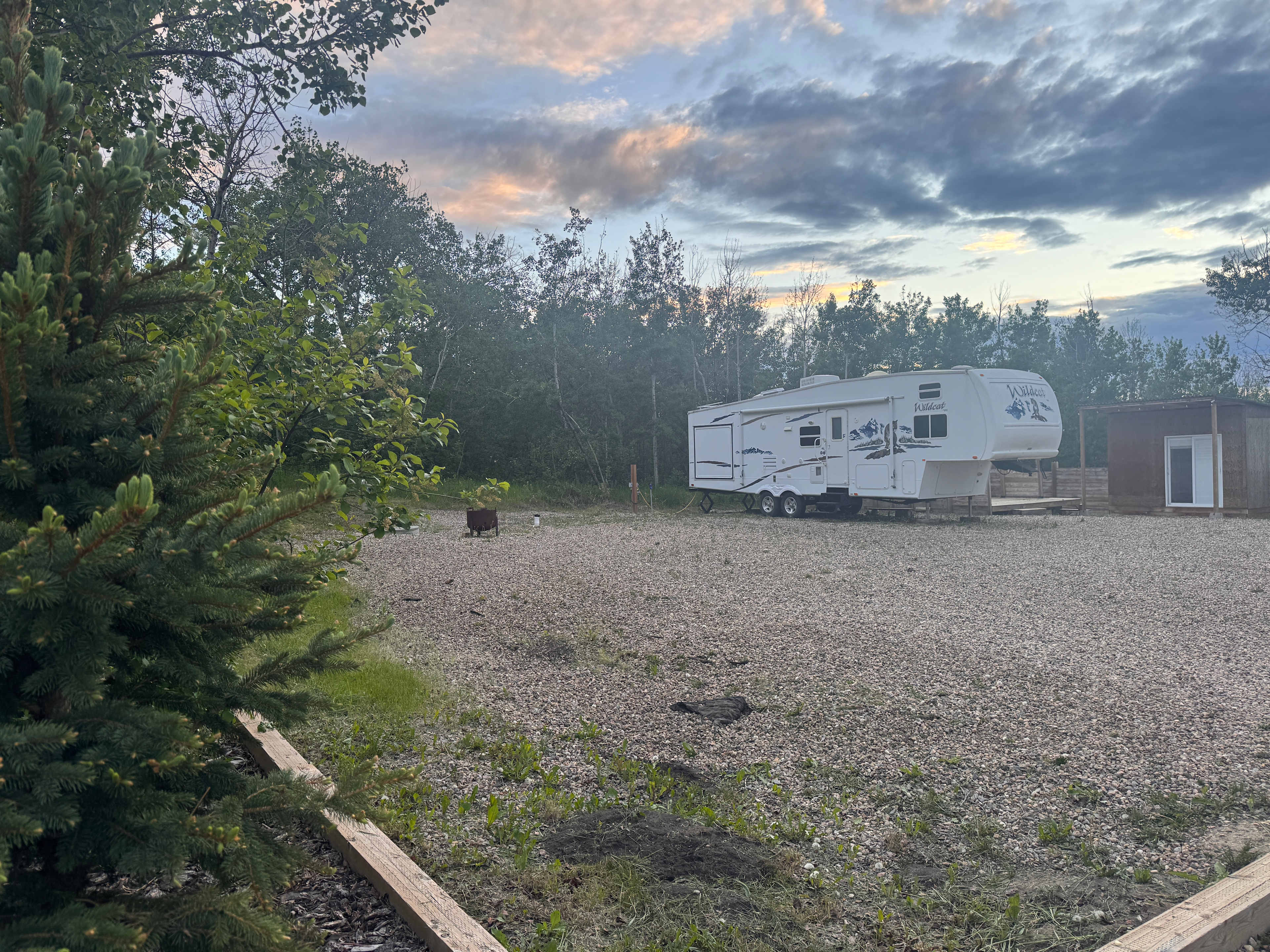 Picture of the site