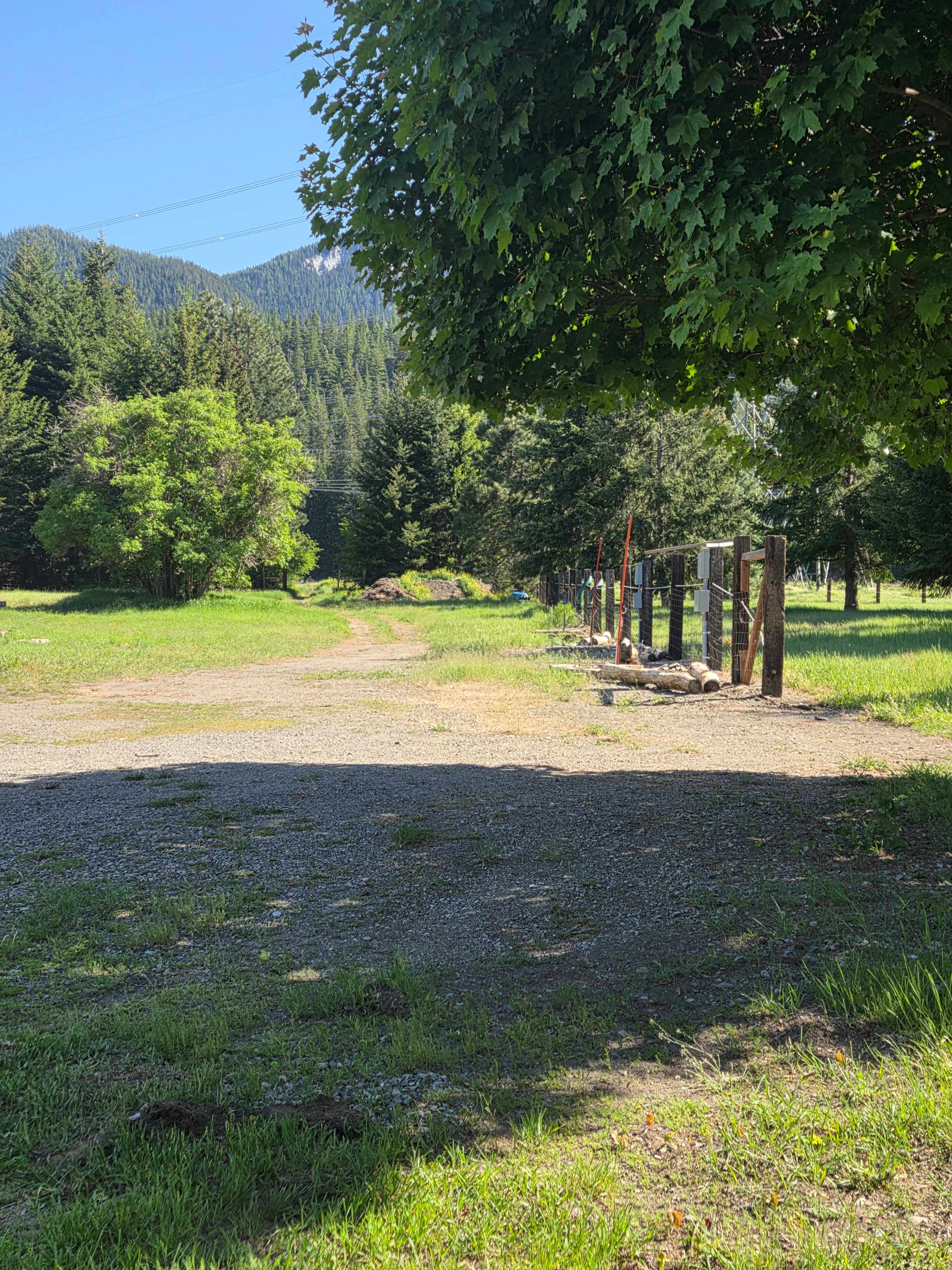 Picture of the site