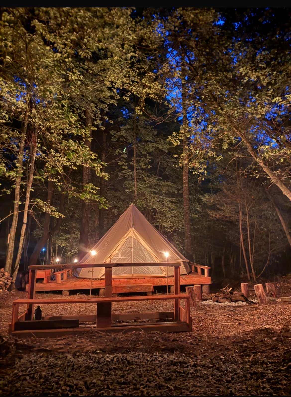 Picture of the site