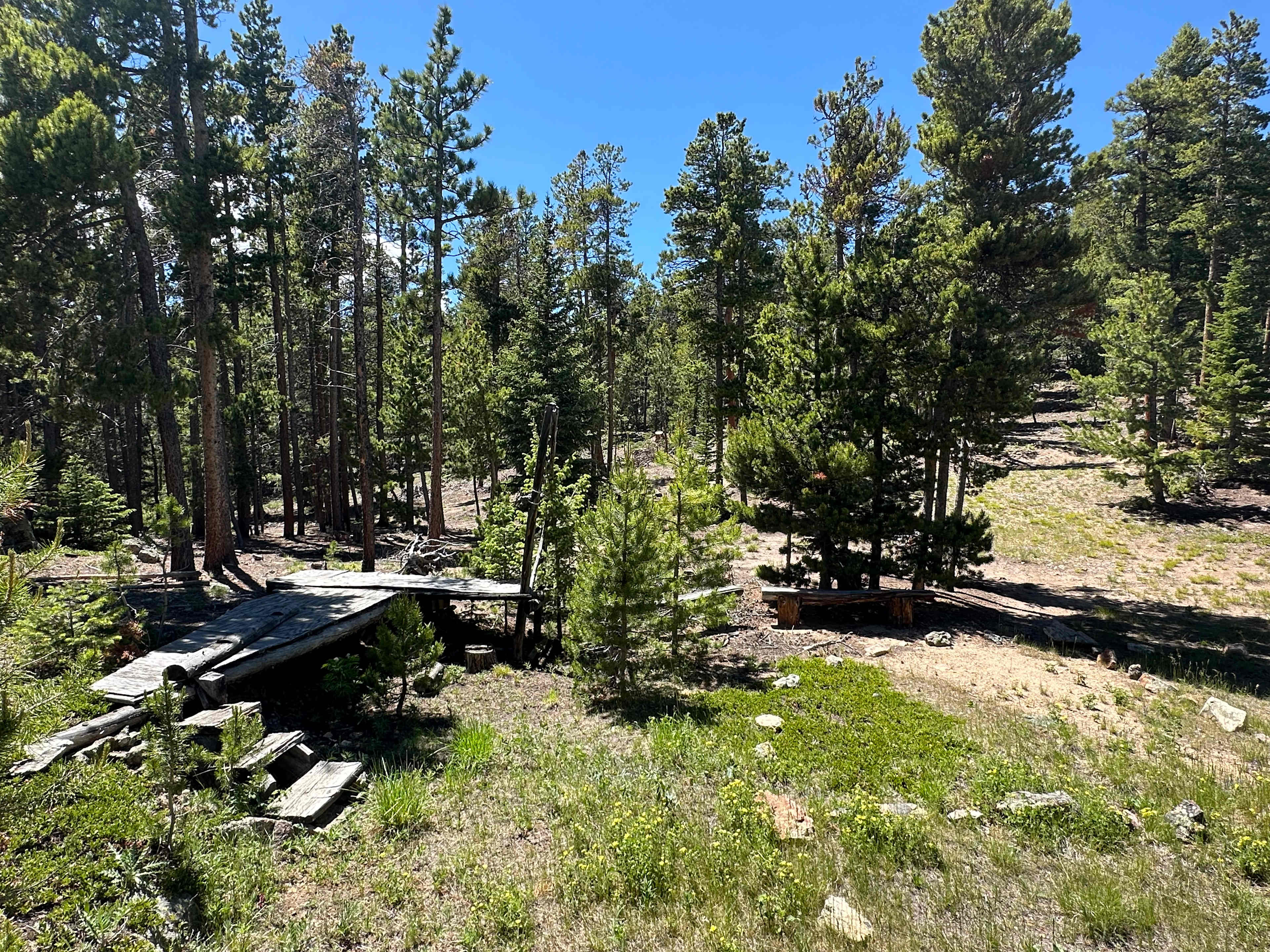 Picture of the site