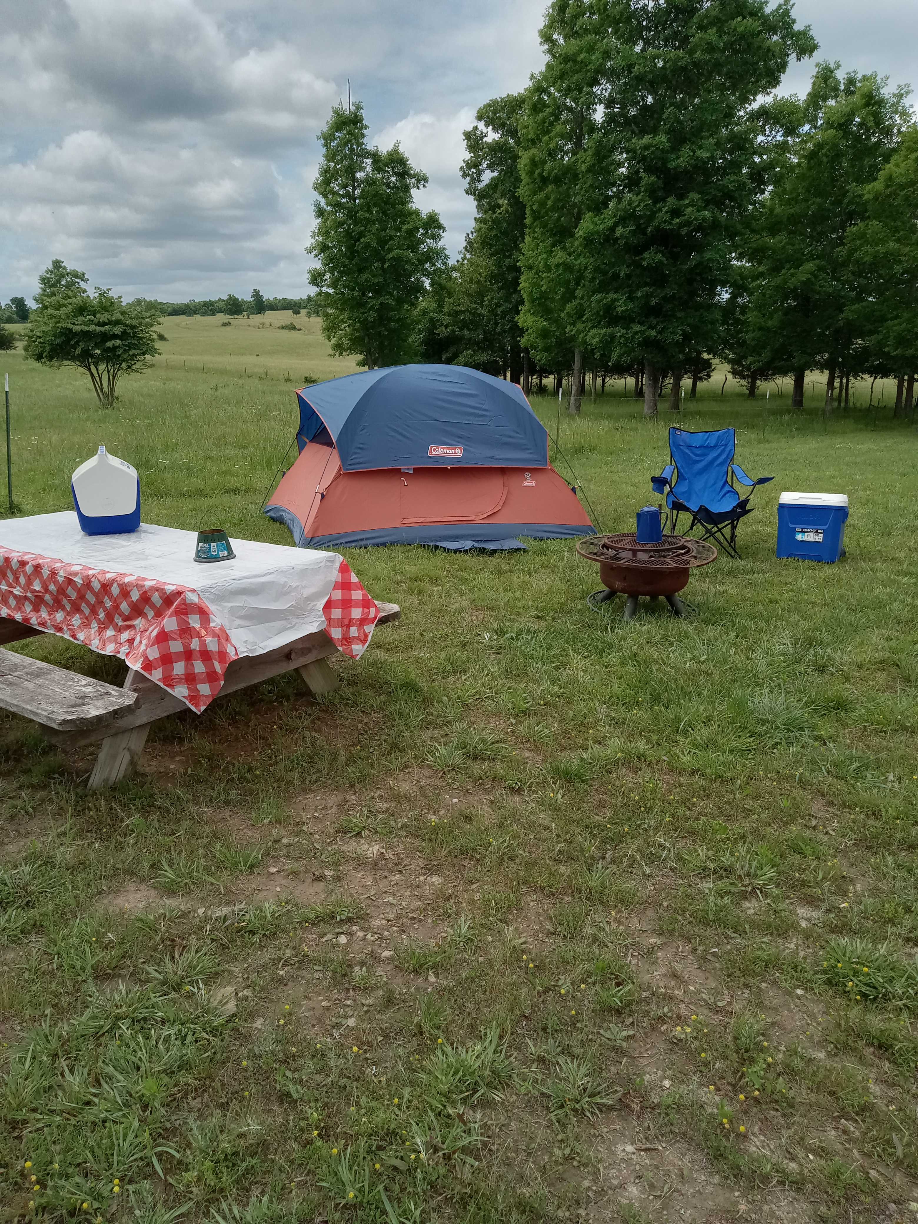 Picture of the site