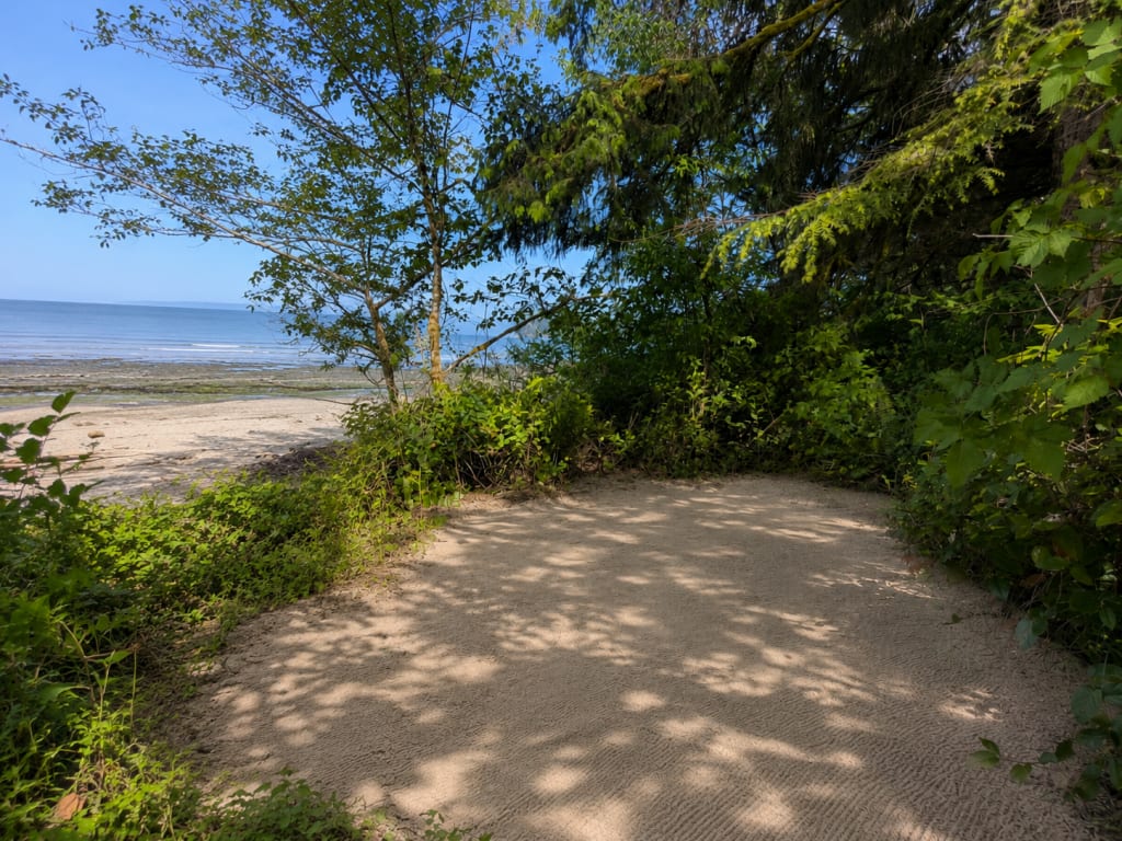 Picture of the site