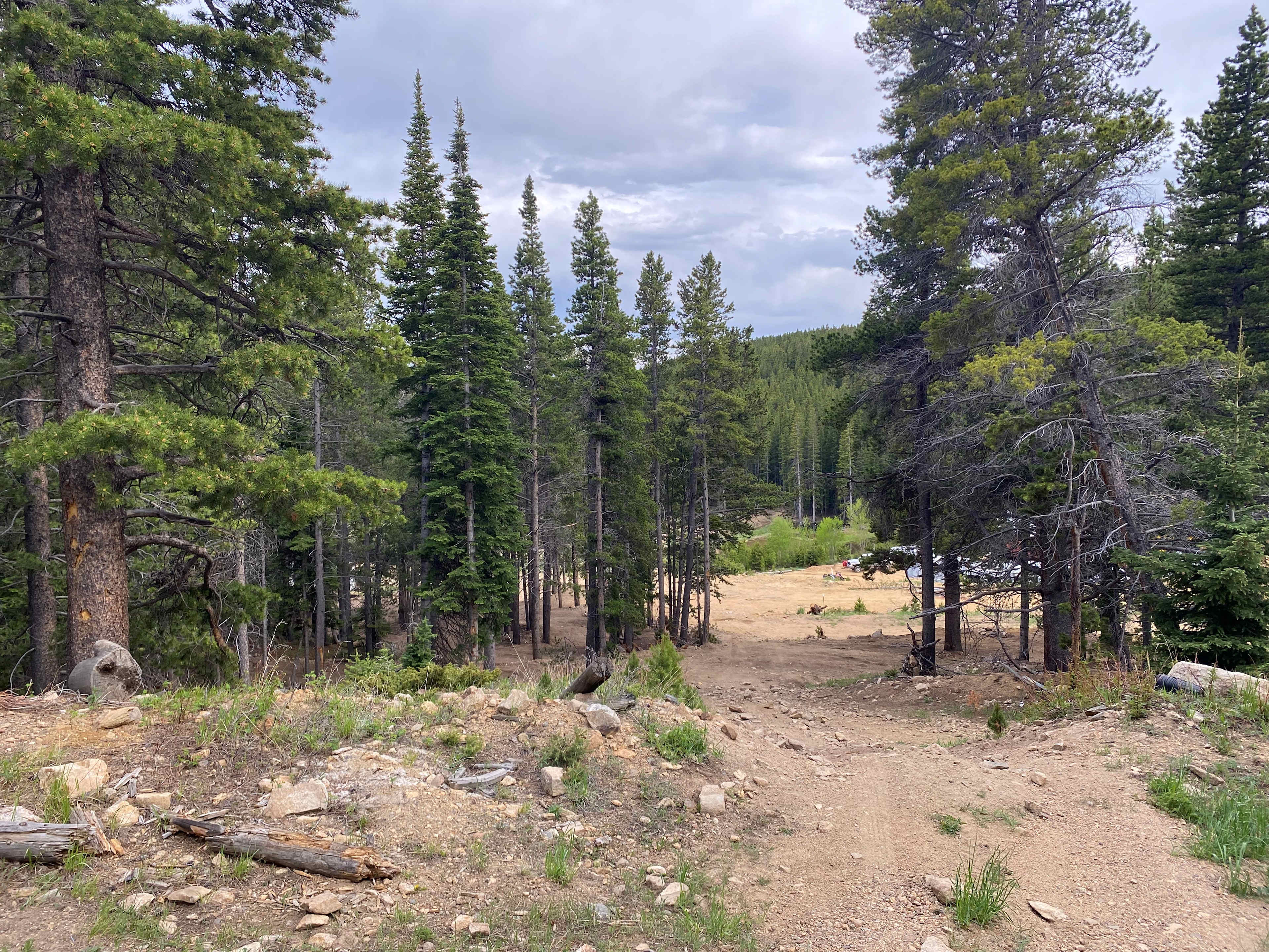Picture of the site