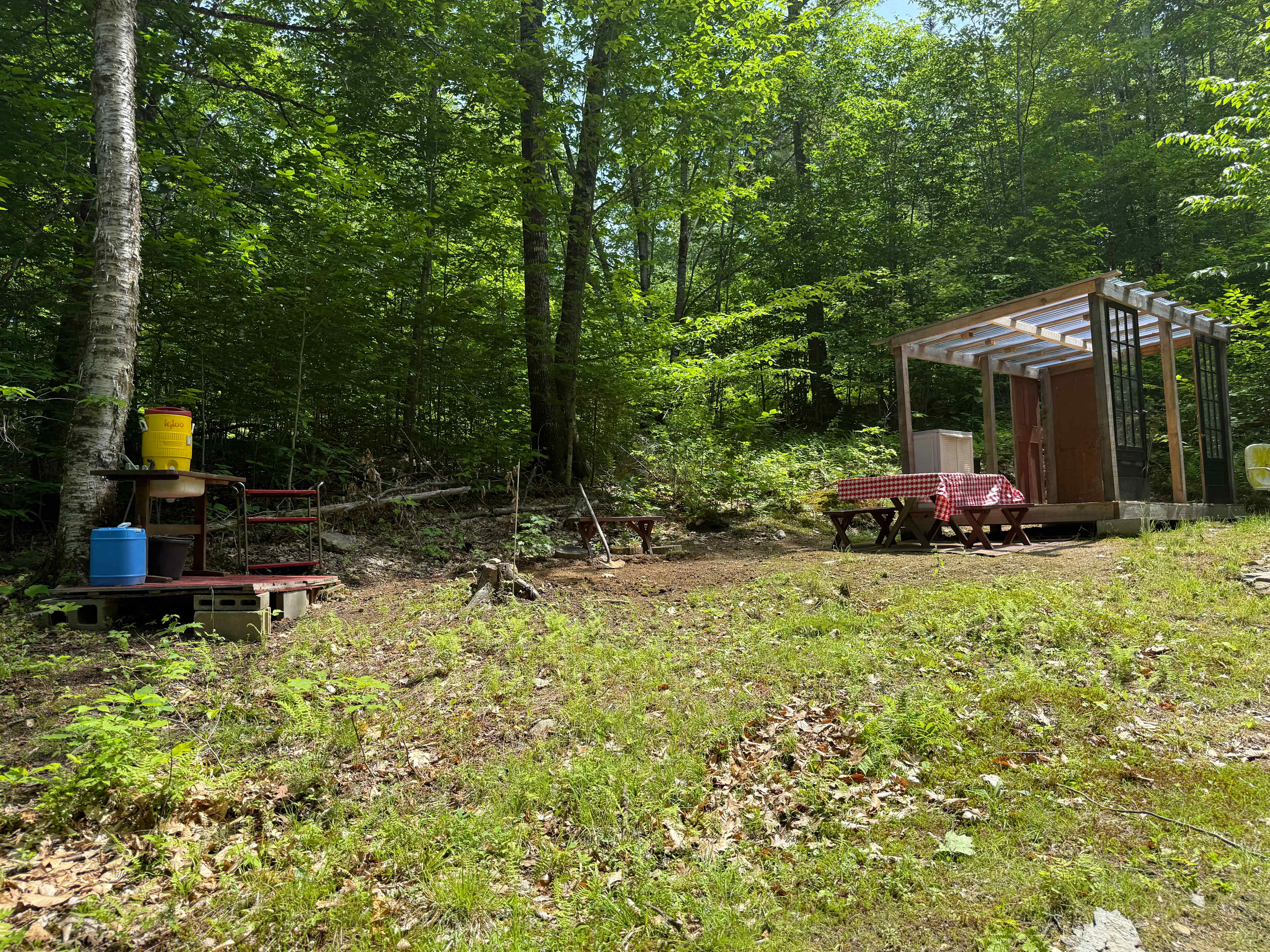 Picture of the site
