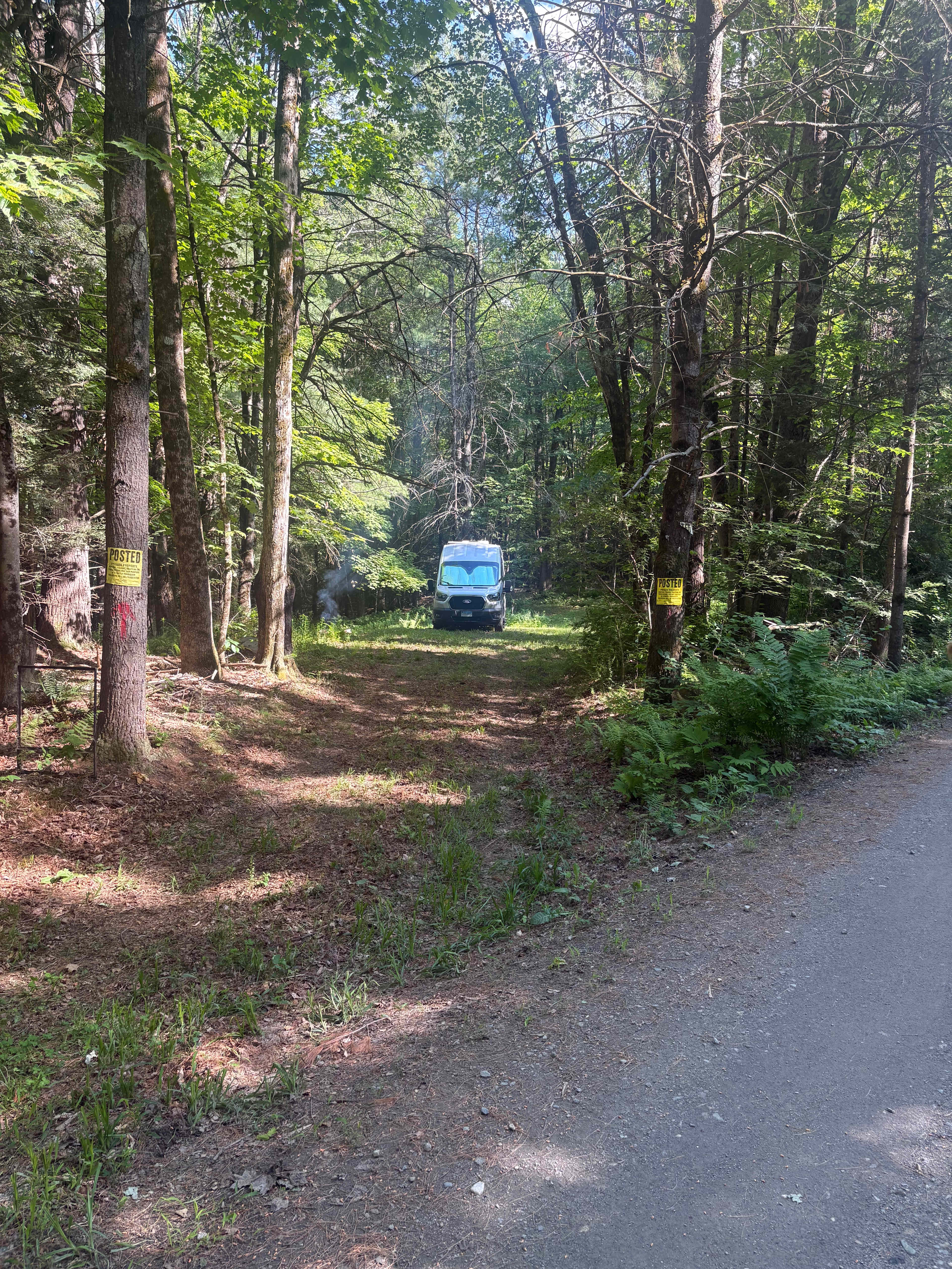 Picture of the site
