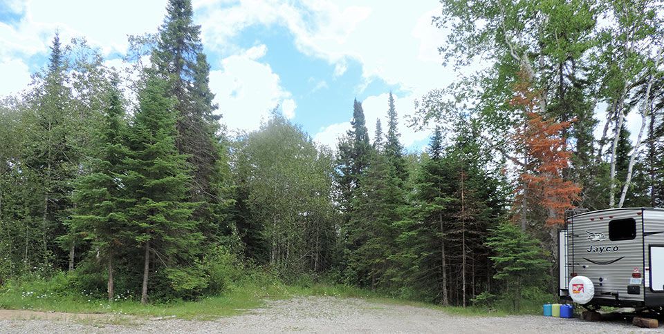 Picture of the site