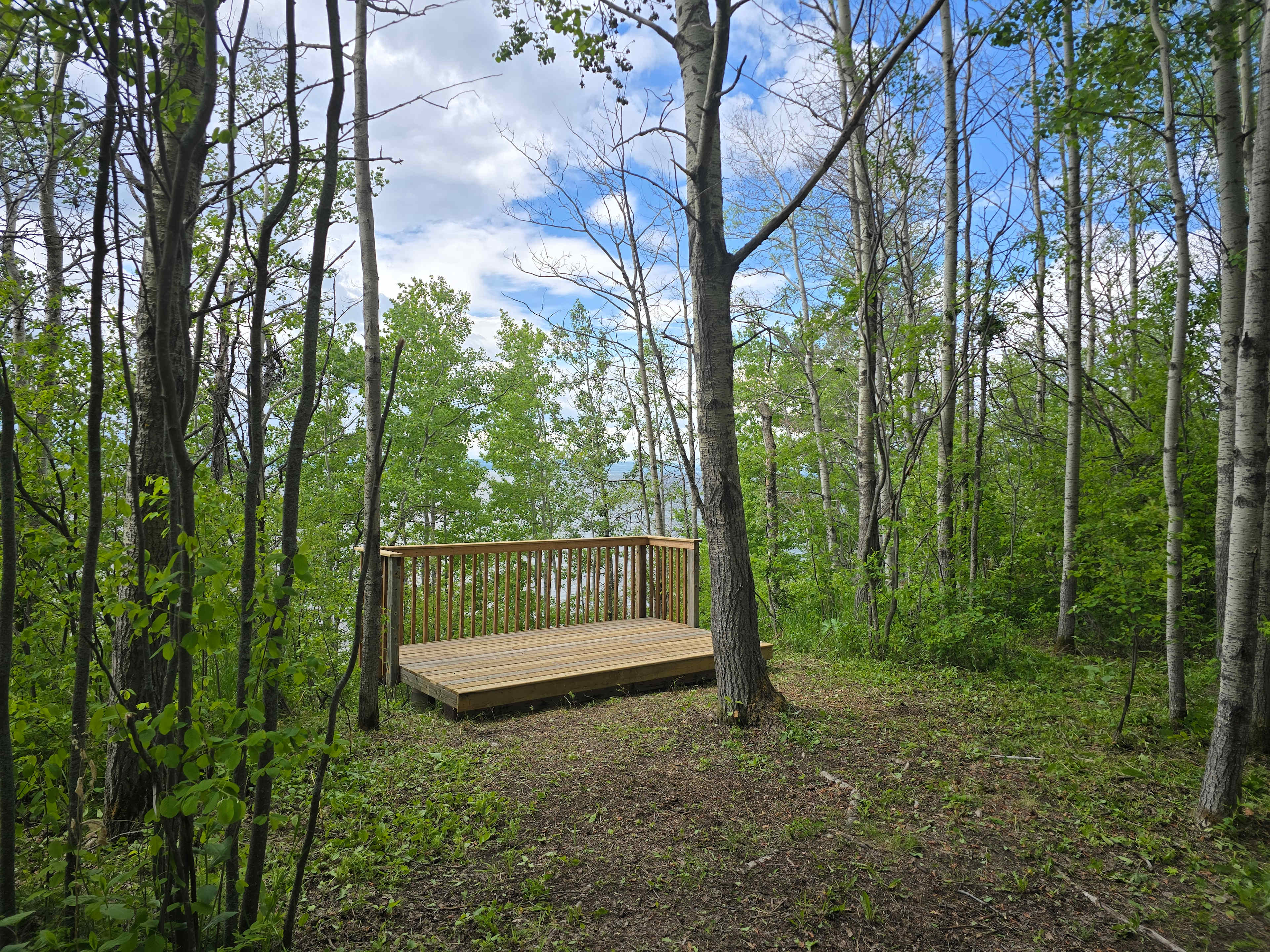 Picture of the site