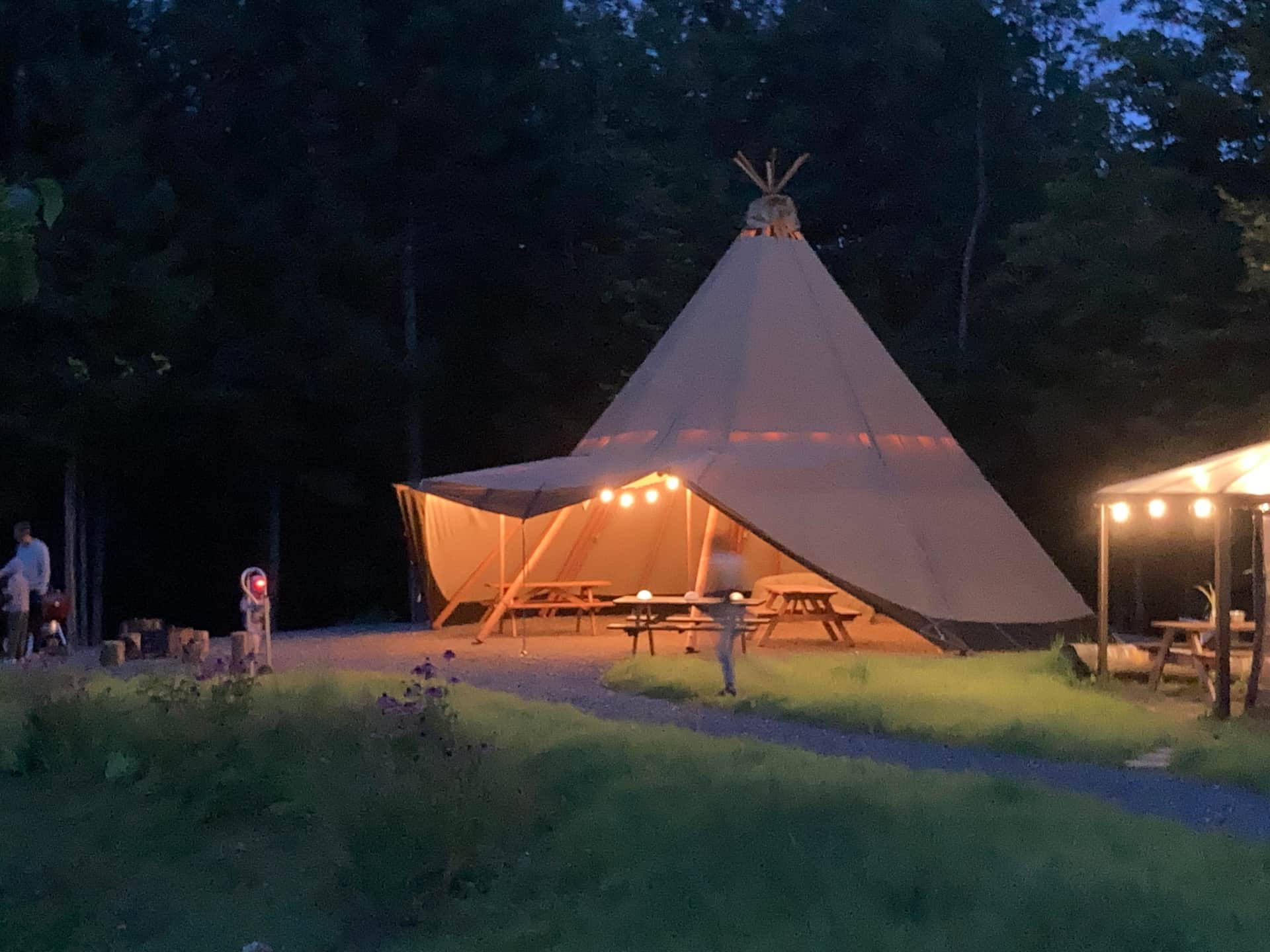 Picture of the site