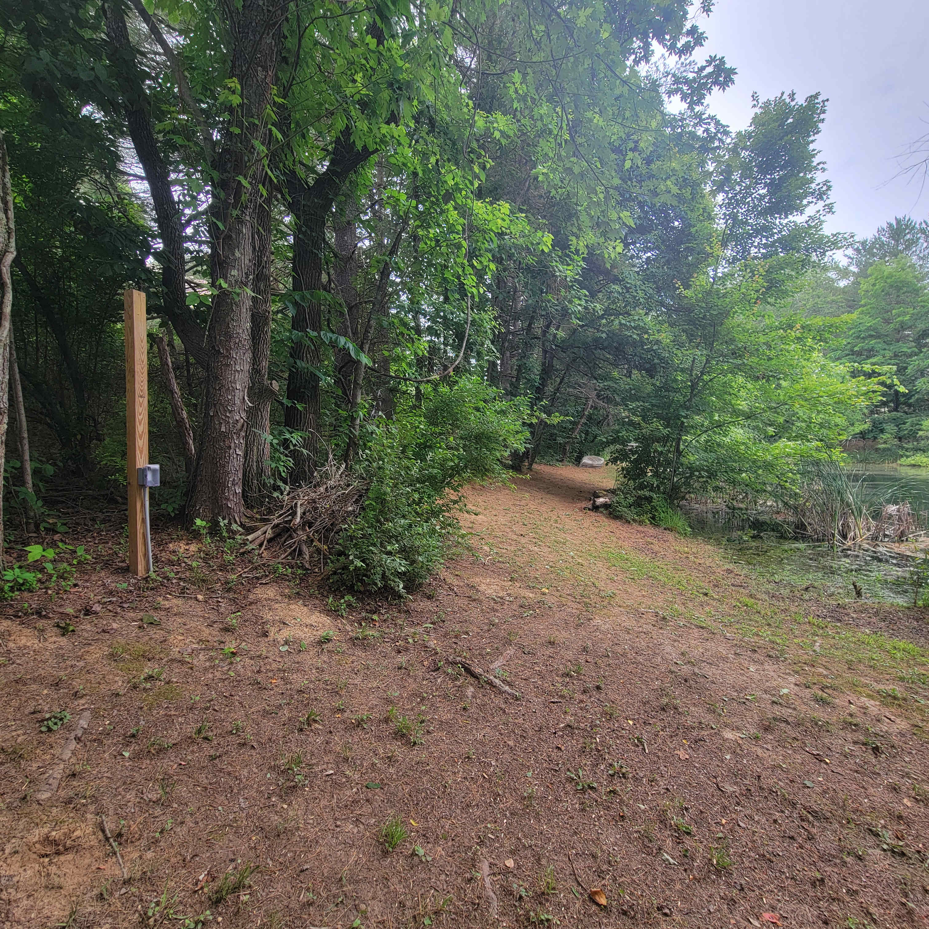Picture of the site