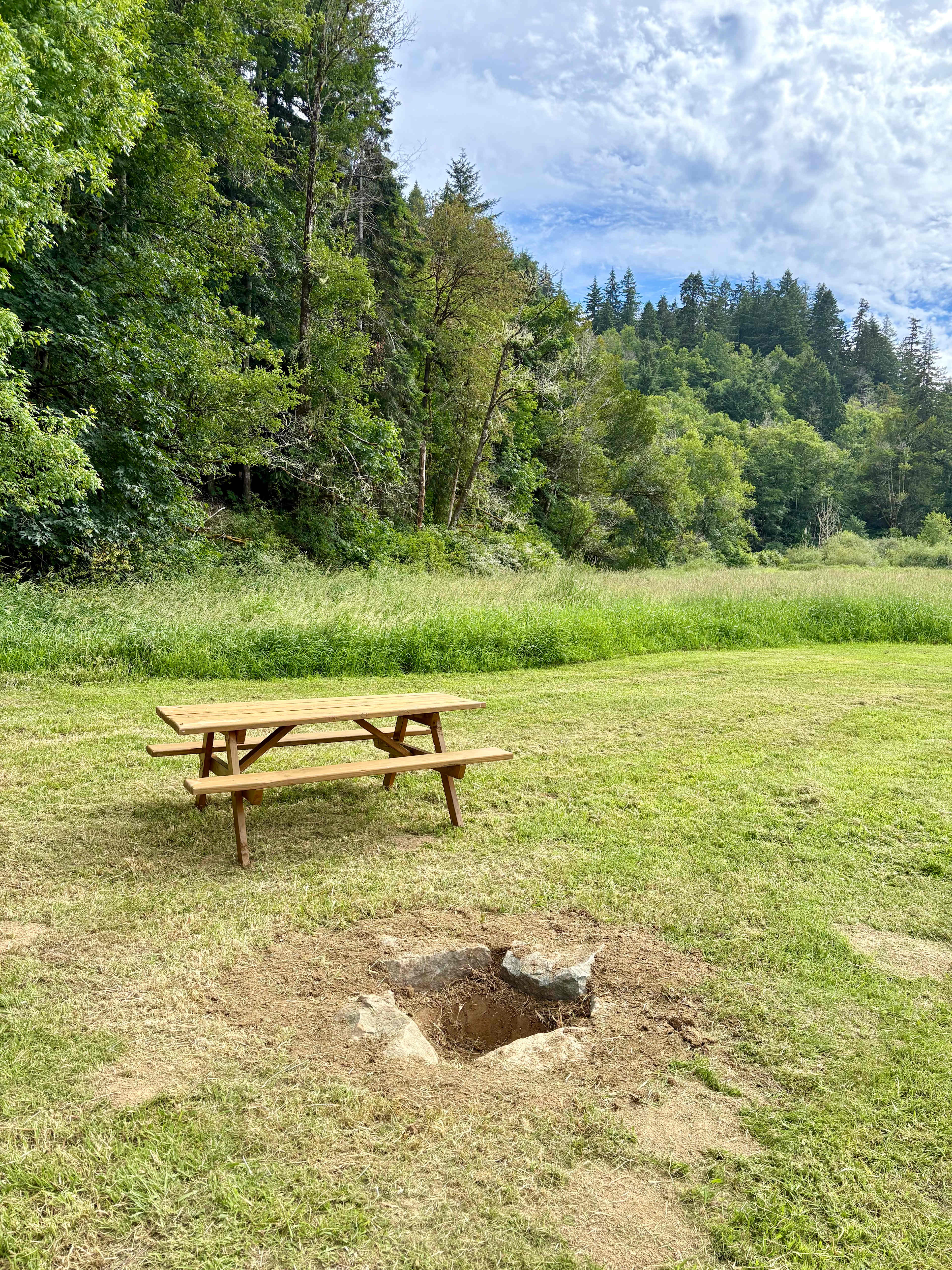 Picture of the site