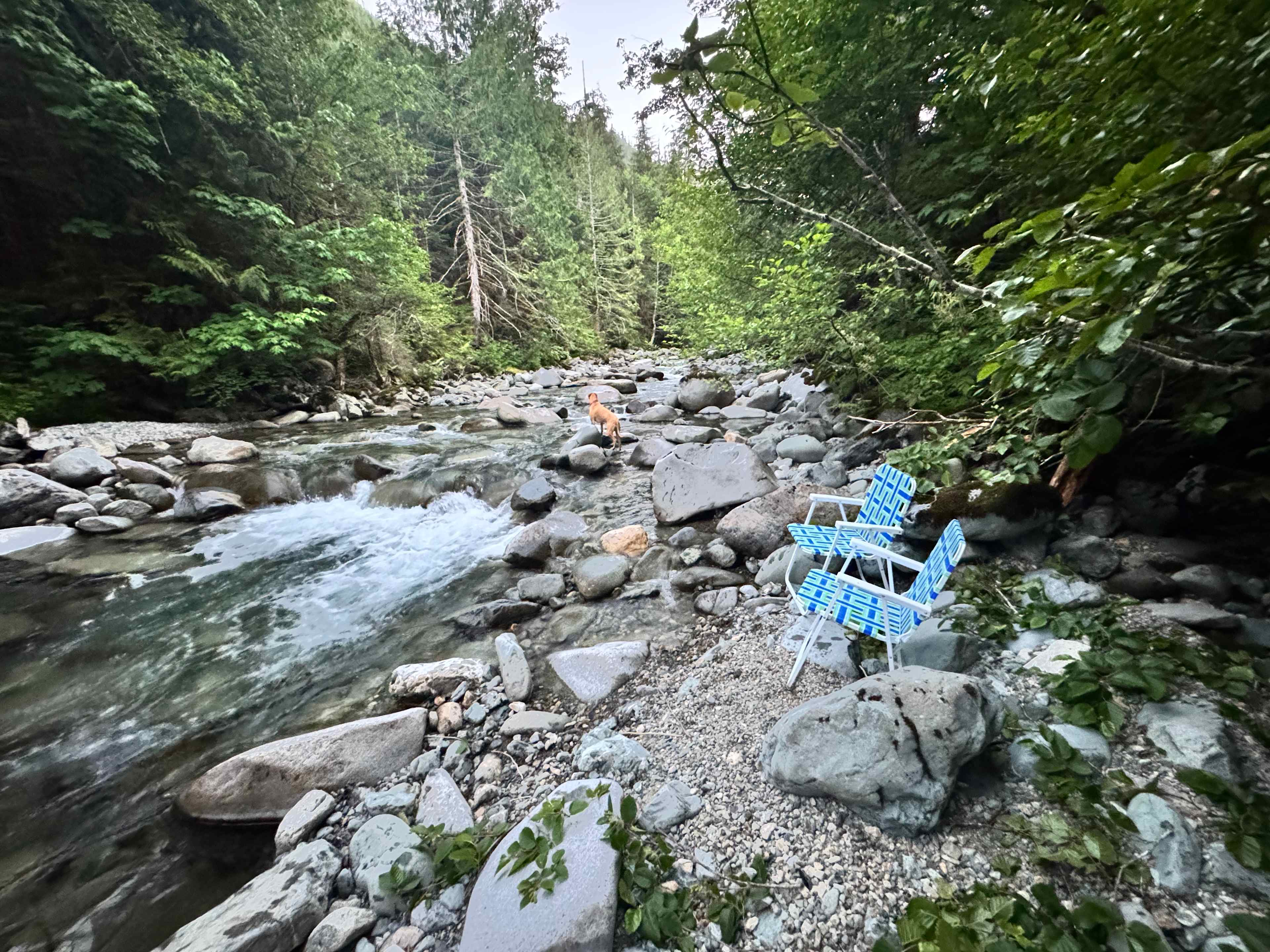 Picture of the site