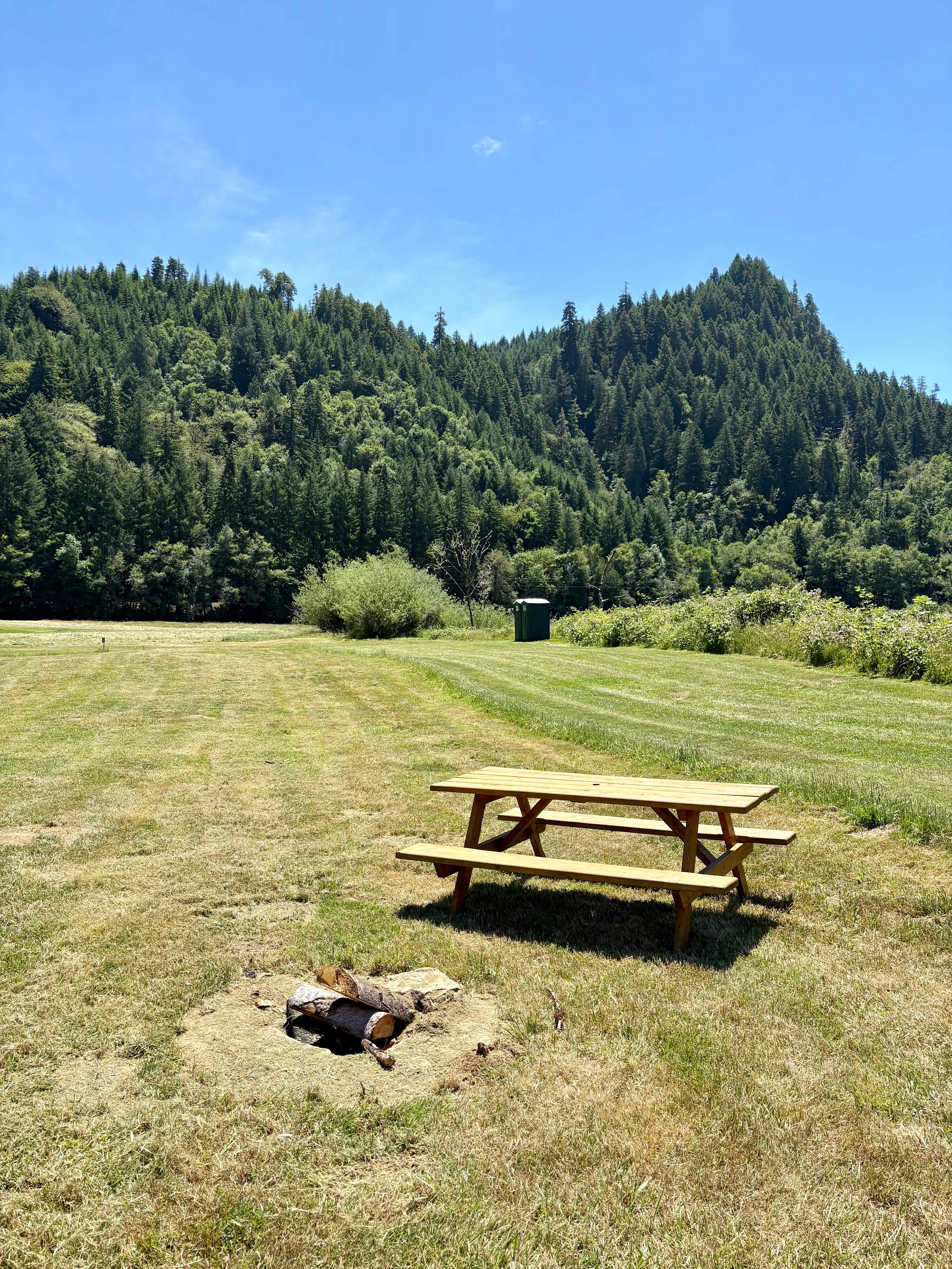 Picture of the site